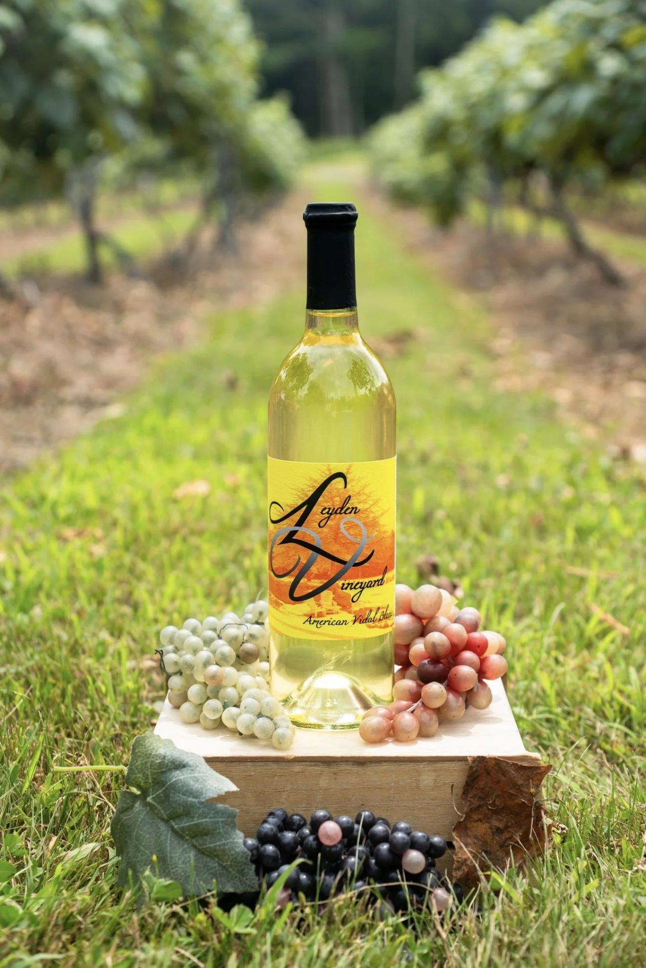 Vidal Blanc