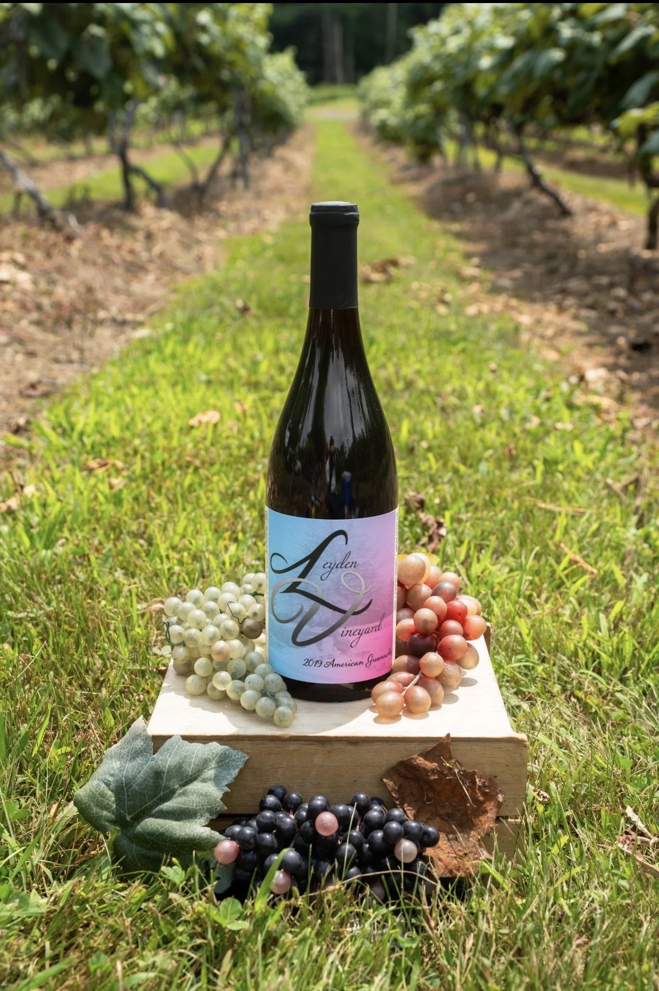 Summer Grenache.jpg
