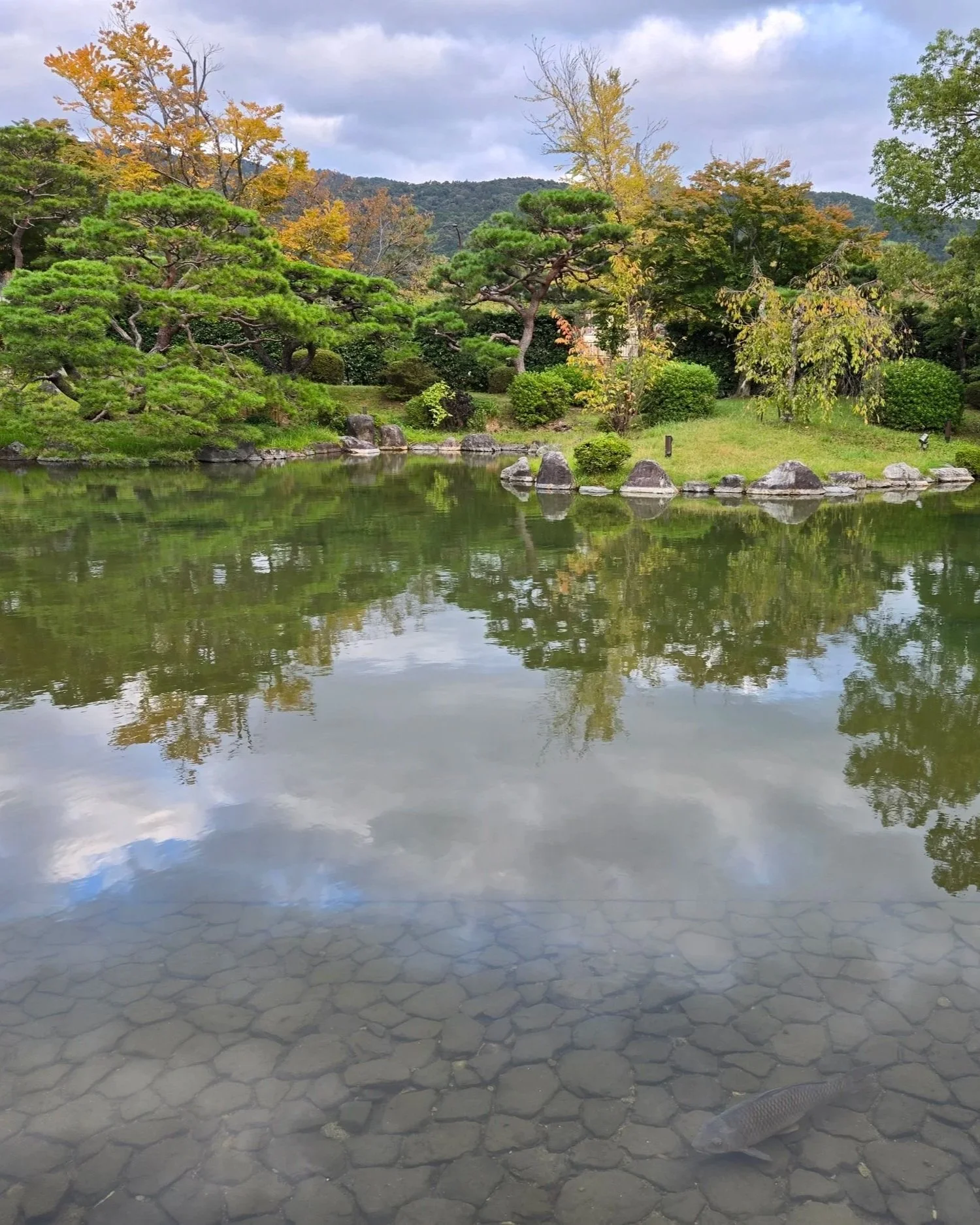 Japanese garden showing a pond with the reflection of trees surroudning it