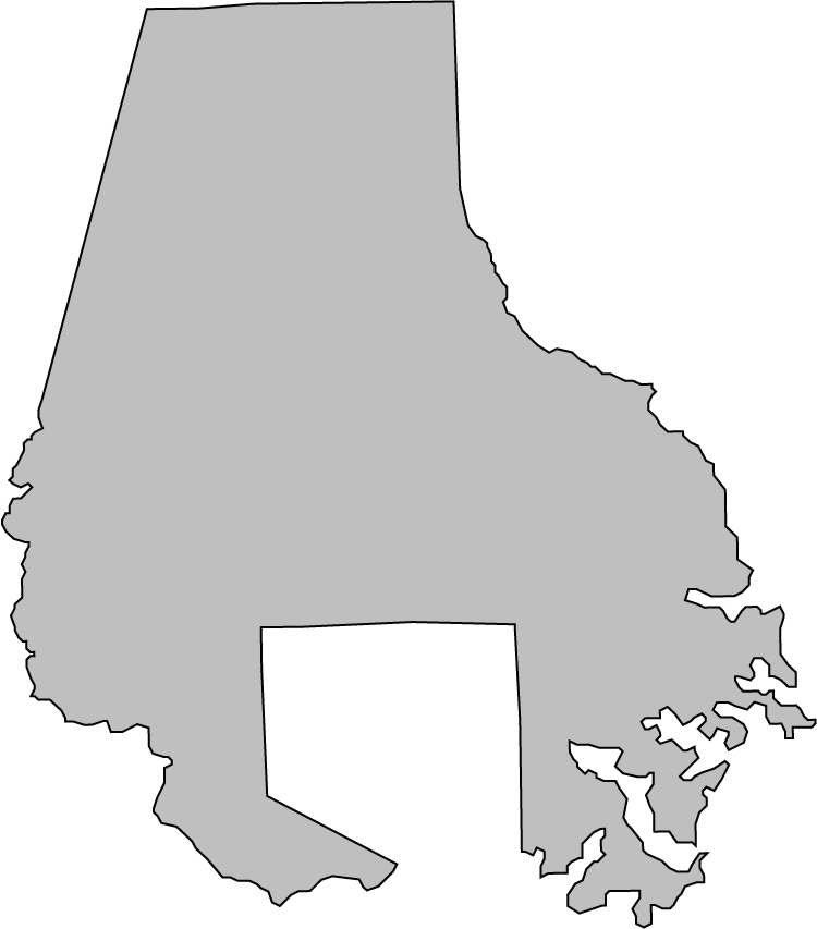 balt county dg blk.png