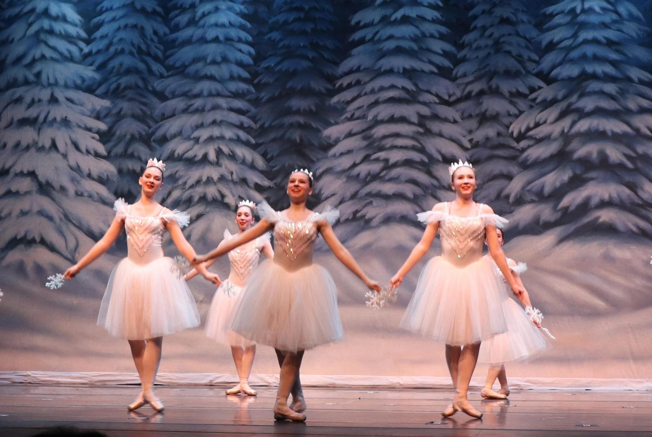 Nutcracker Ballet — Dance Center of Kirkwood