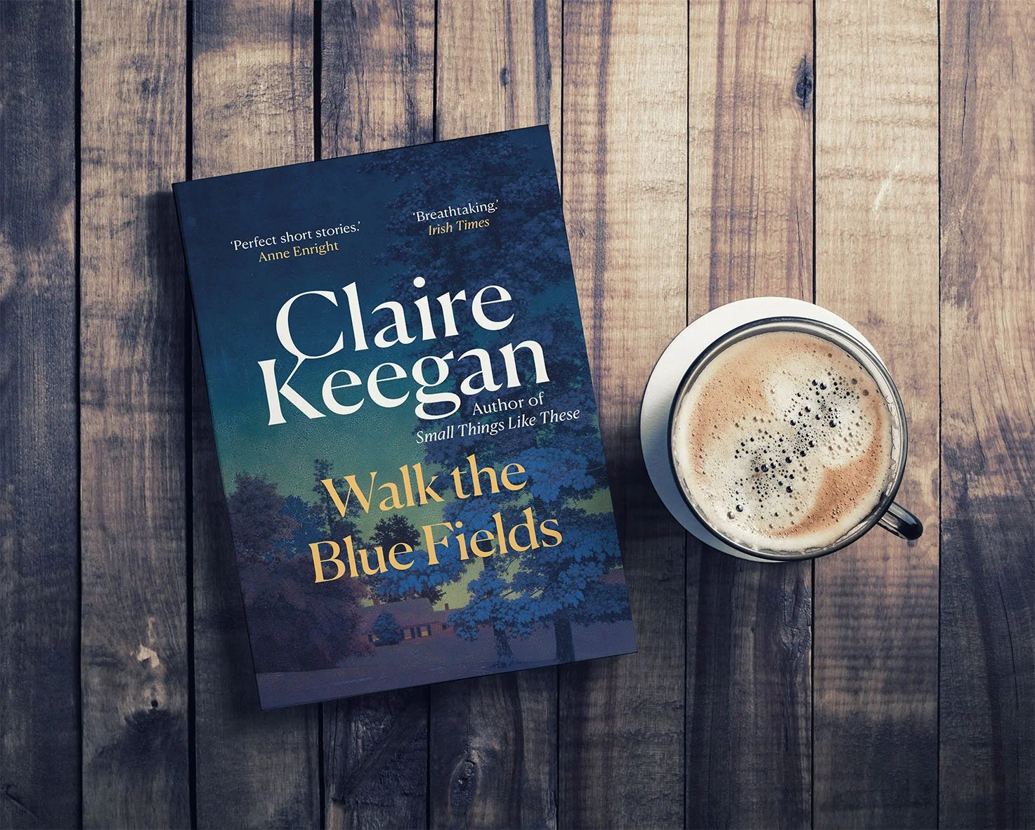 Book Club: Walk the Blue Fields by Claire Keegan