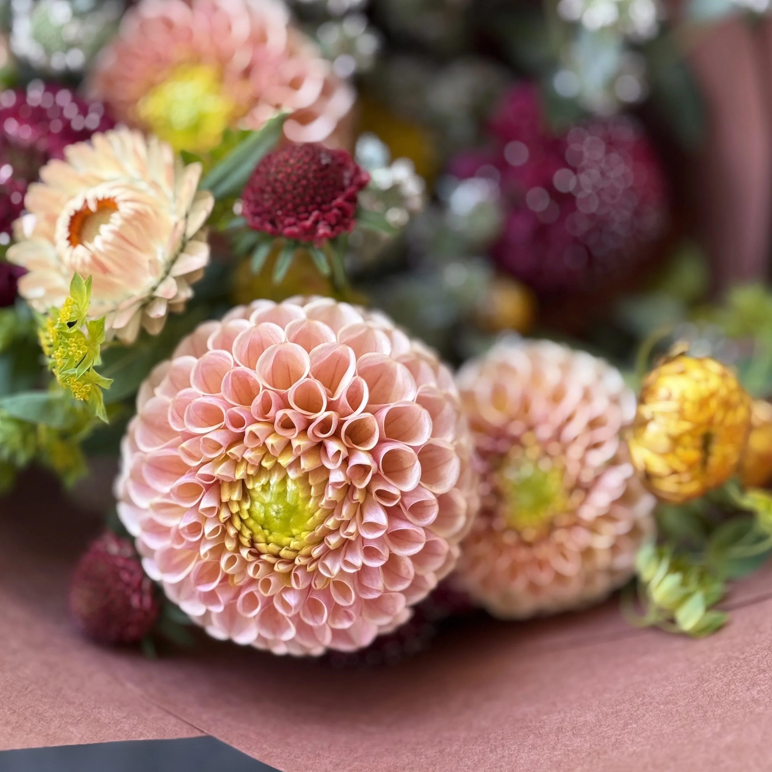 KA's® Honeycomb • (limit 3)