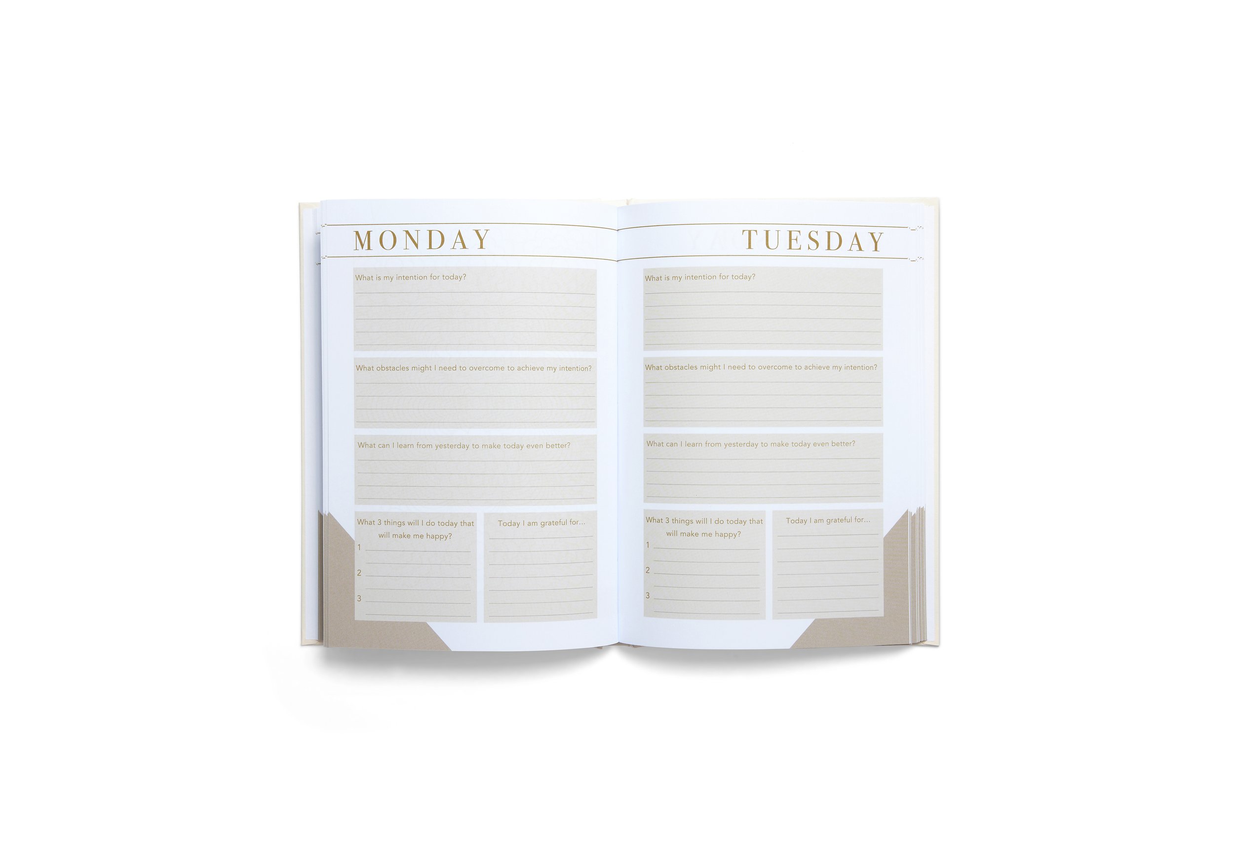 Morning Notes - White 3.jpg