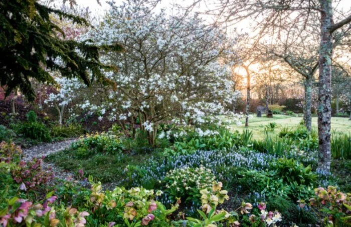 Grosse Pointe Garden Center Annual Garden Tour