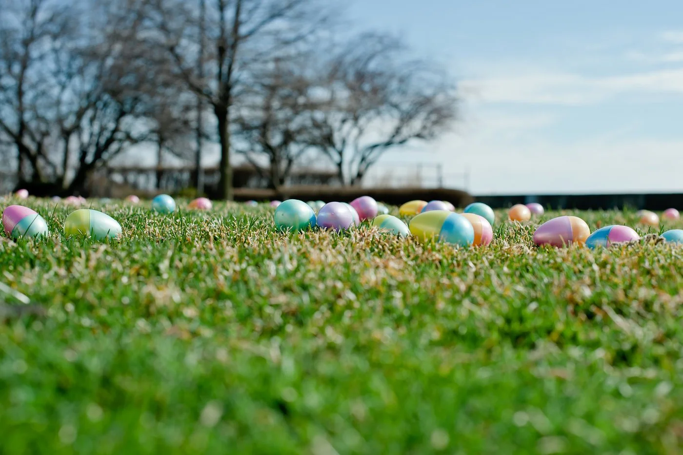 Bunny Brunch 2024.jpeg