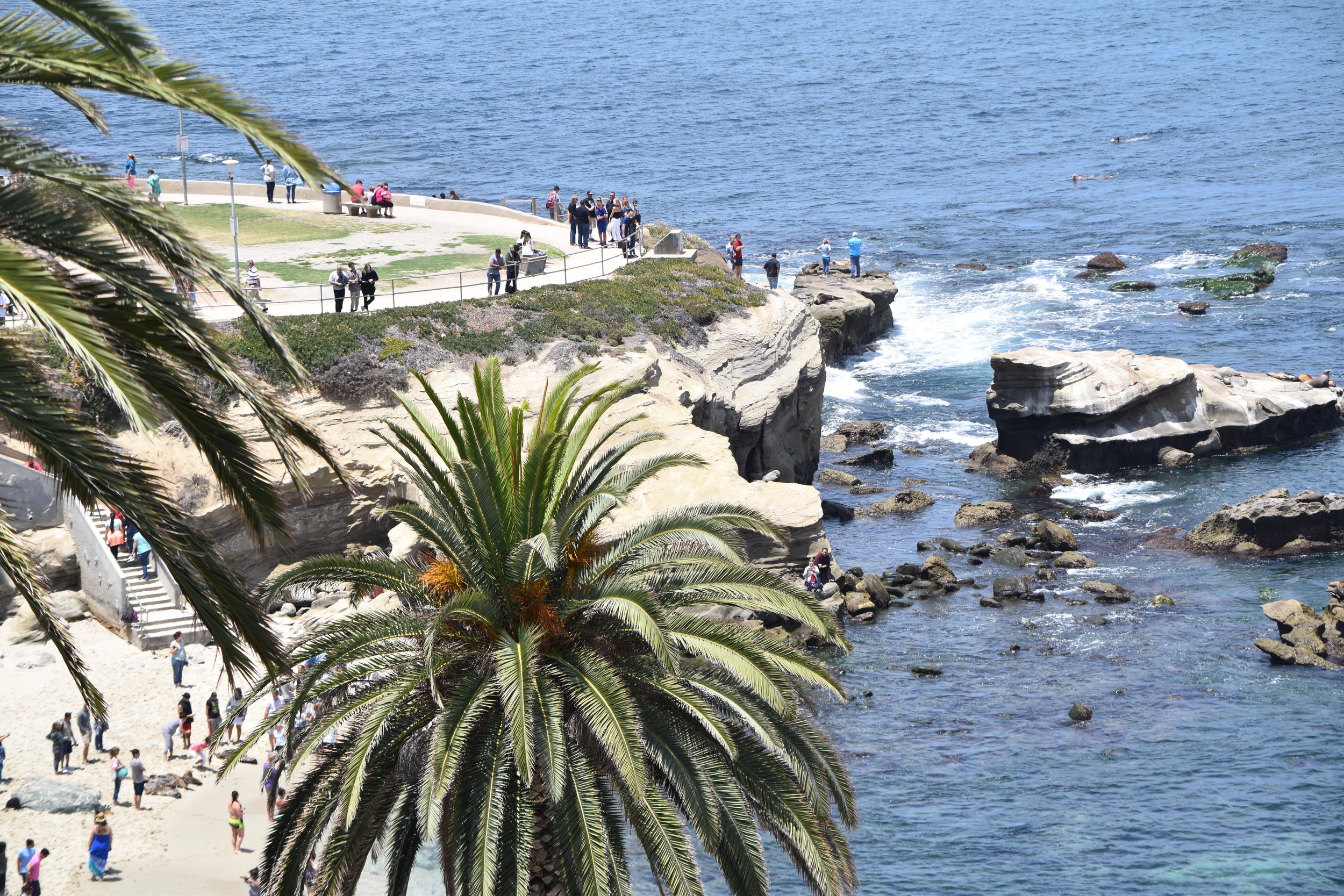 view-from-above-of-la-jolla-cove-near-san-diego-ca-2022-11-15-16-34-30-utc.jpg