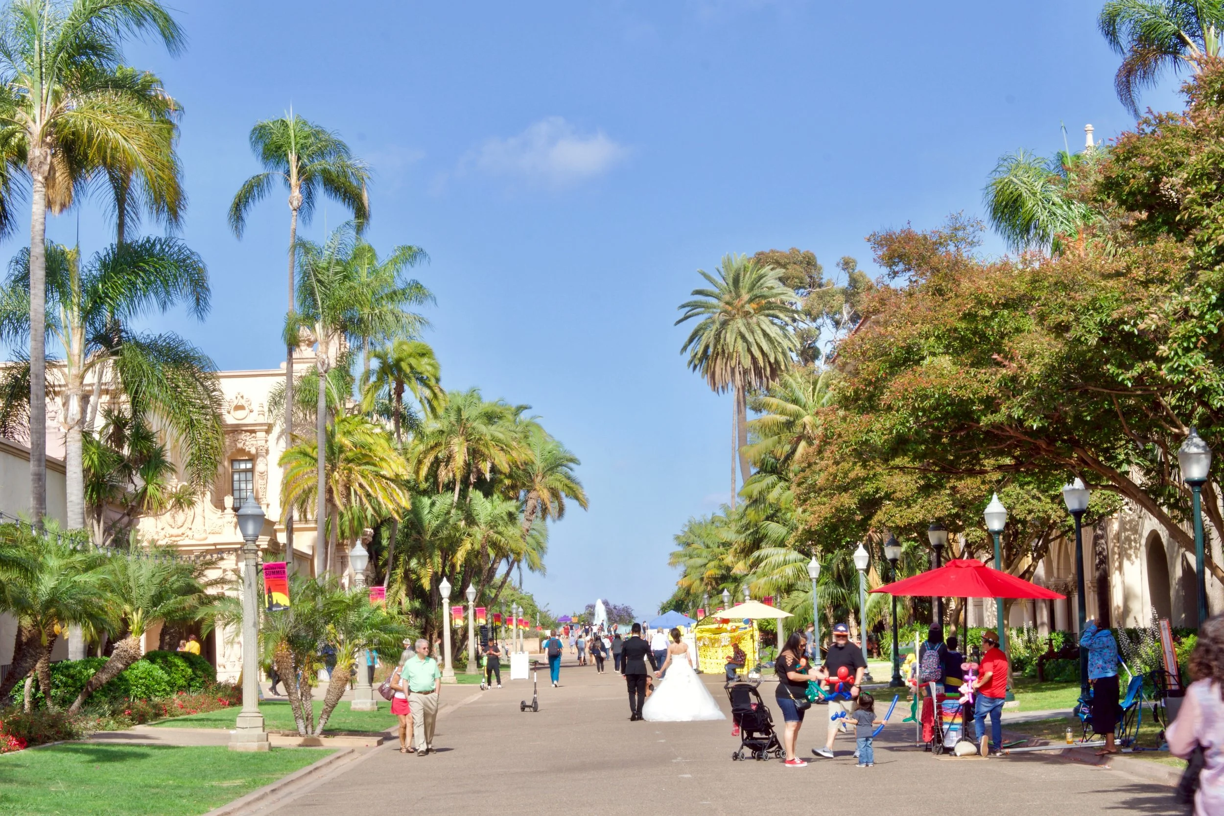 walking-through-balboa-park-in-san-diego-californ-2022-11-10-10-30-06-utc.jpg