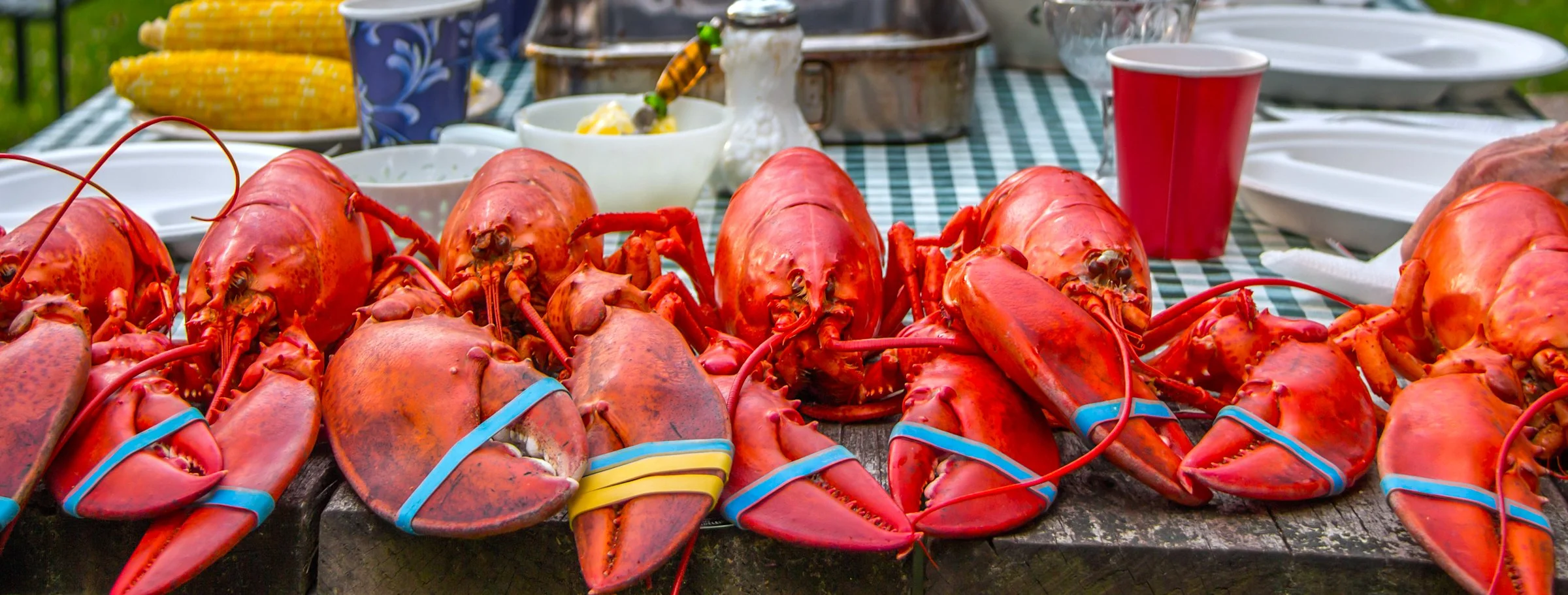 bigstock-Lobster-Feast-118074347.jpg
