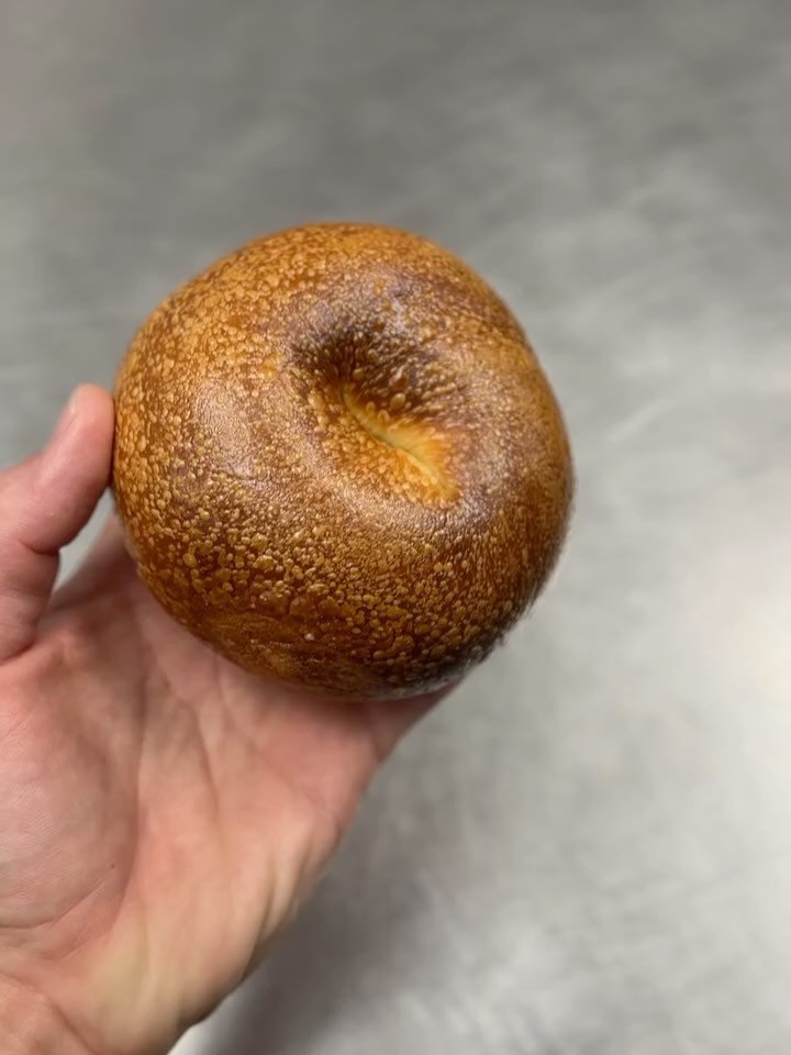 plain bagels plain bagels plain bagels plain bagels plain bagels plain bagels plain bagels plain bagels plain bagels plain bagels plain bagels plain bagels plain bagels plain bagels plain bagels plain bagels plain bagels plain bagels plain bagels pla