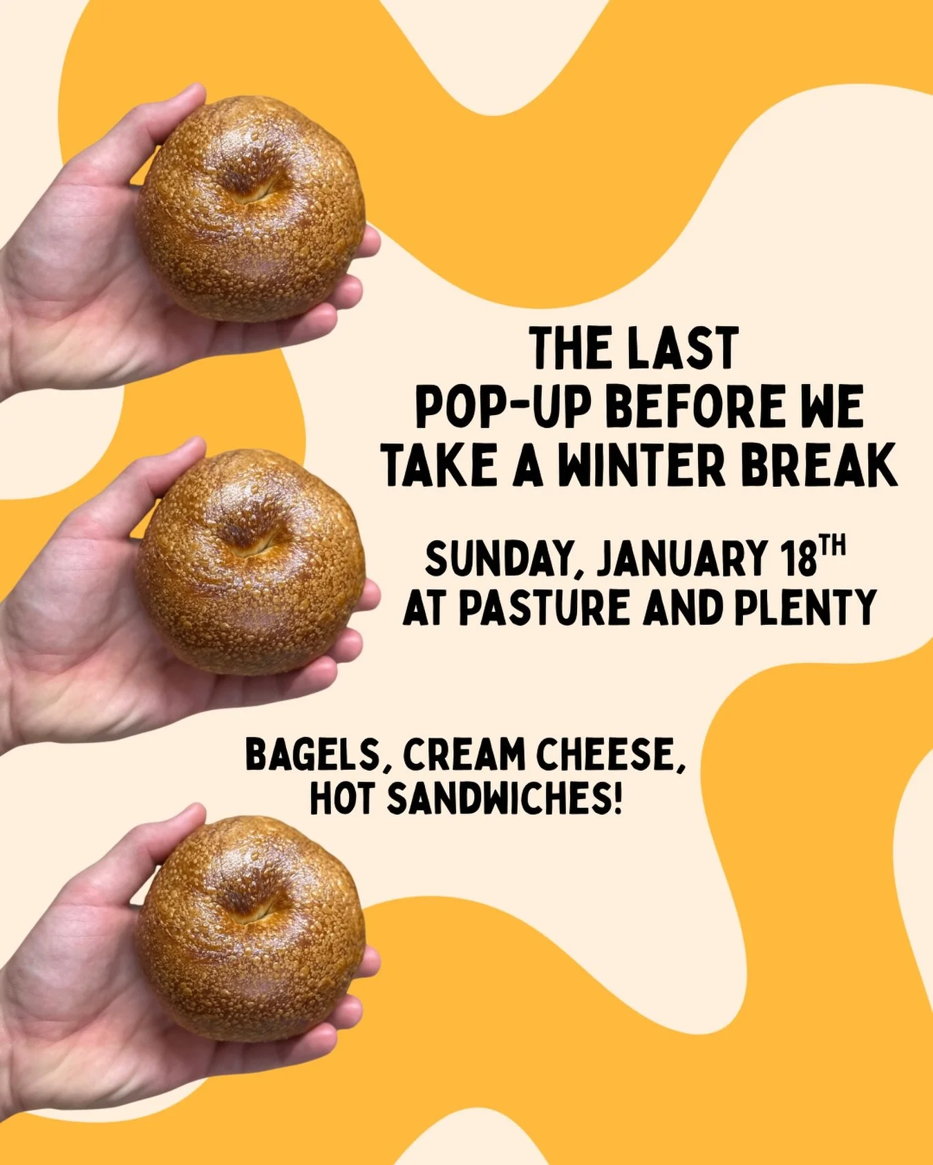 Here we are once again. A full on bagel pop-up at our home kitchen, @pastureandplenty. We will take all of February off for a short winter break. If you want bagels you have to come see us Sunday, January 18th, 9am-sell out. Pre-orders will open Wedn