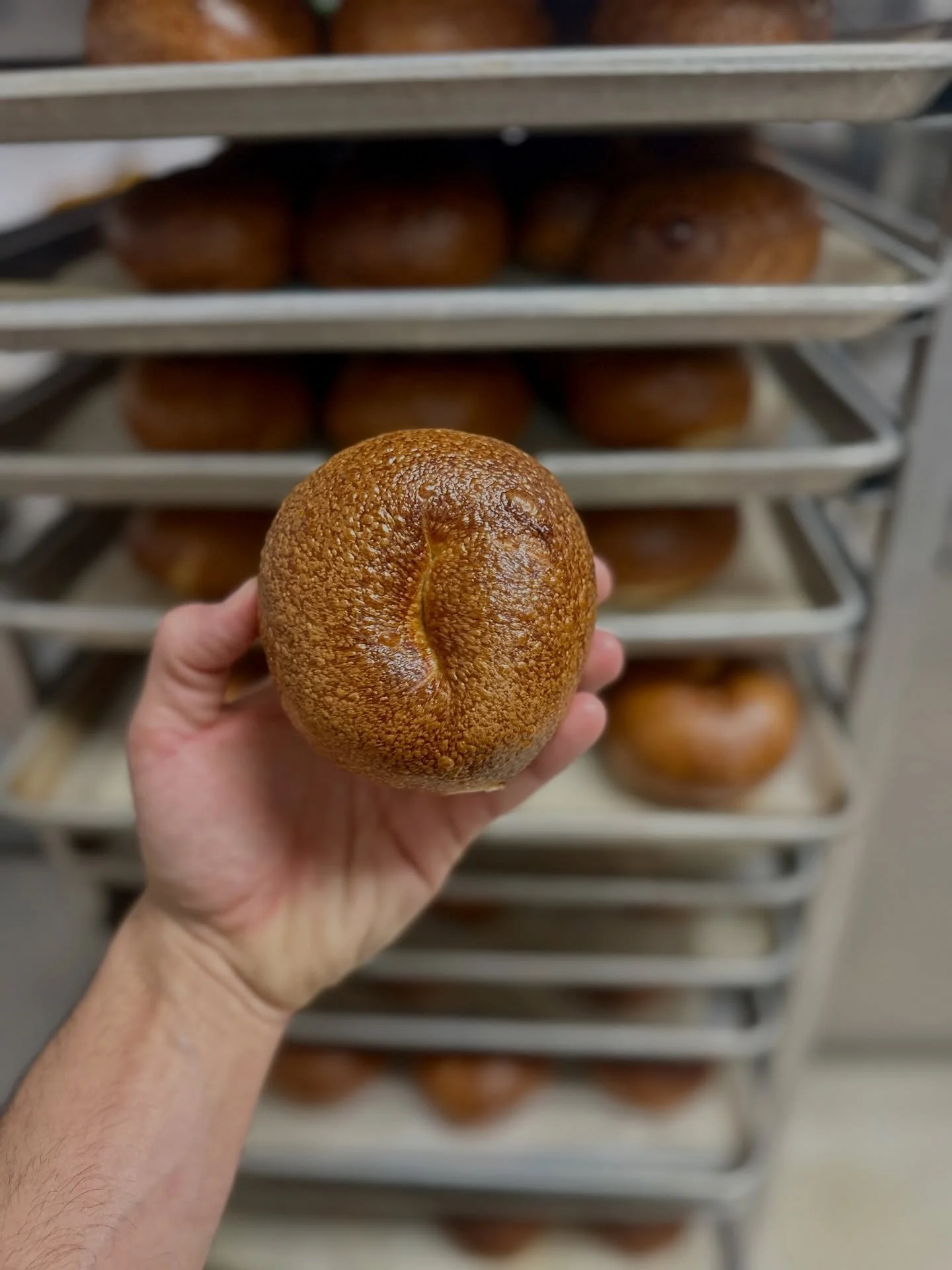 I spend so much time trying to figure out how to &ldquo;fix&rdquo; my bagels I seem to forget to celebrate the good ones. A plain bagel, lots of blistering, baked deeply, puffy rise, tightly shaped, doesn&rsquo;t get much better.