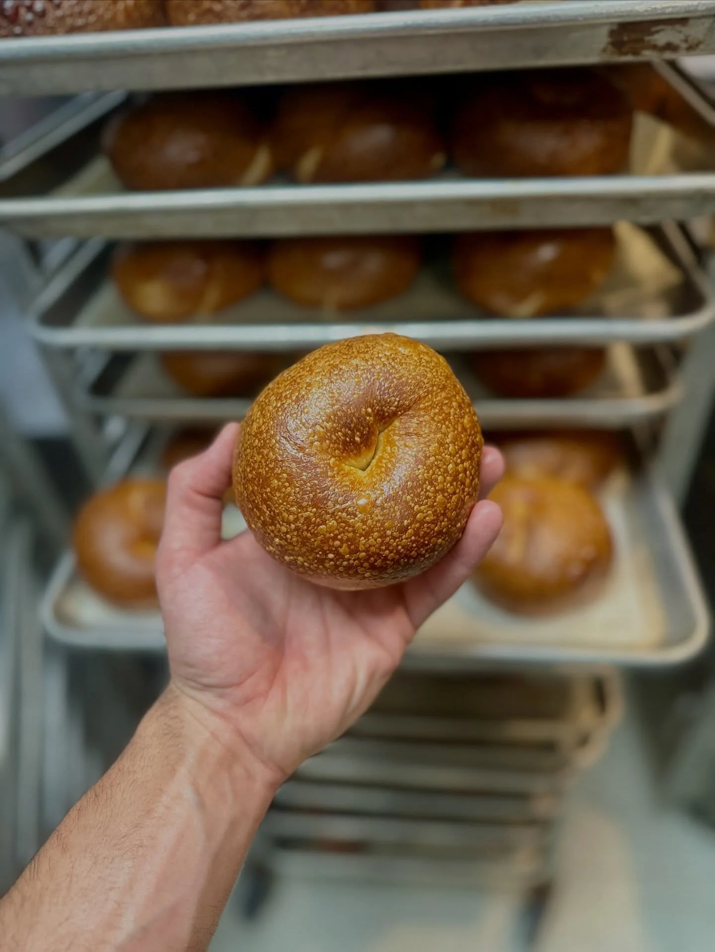 I&rsquo;ve had 4 bakes since switching over to full covering my bagels in the walk in cooler for the 36 hour cold proof. What has impressed me the most is the consistency of the bagels. Baking is always about consistency. It&rsquo;s a volume game, ma