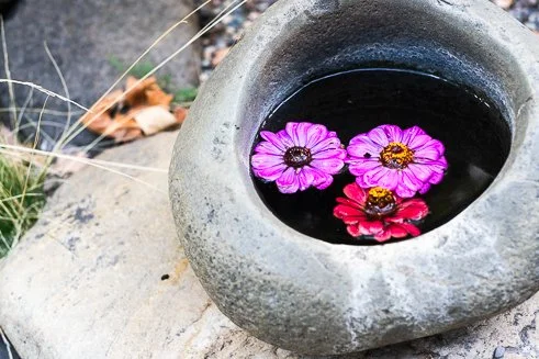 Guided Meditations: Spacious Awareness and Kind Hands
