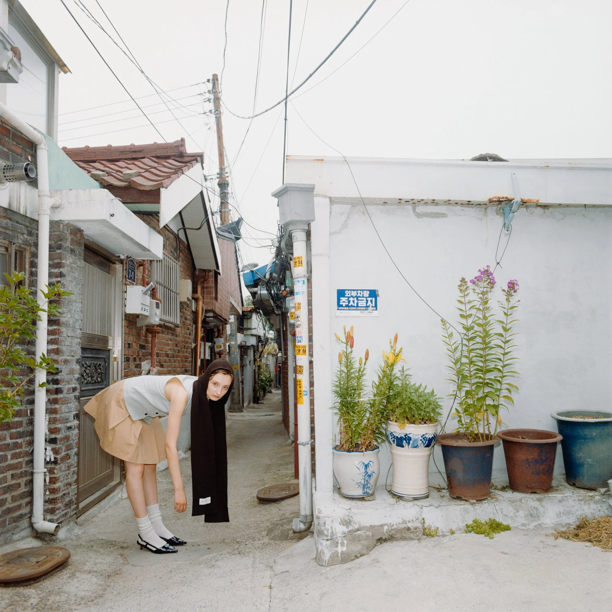Seoul - Maya @shiinsei