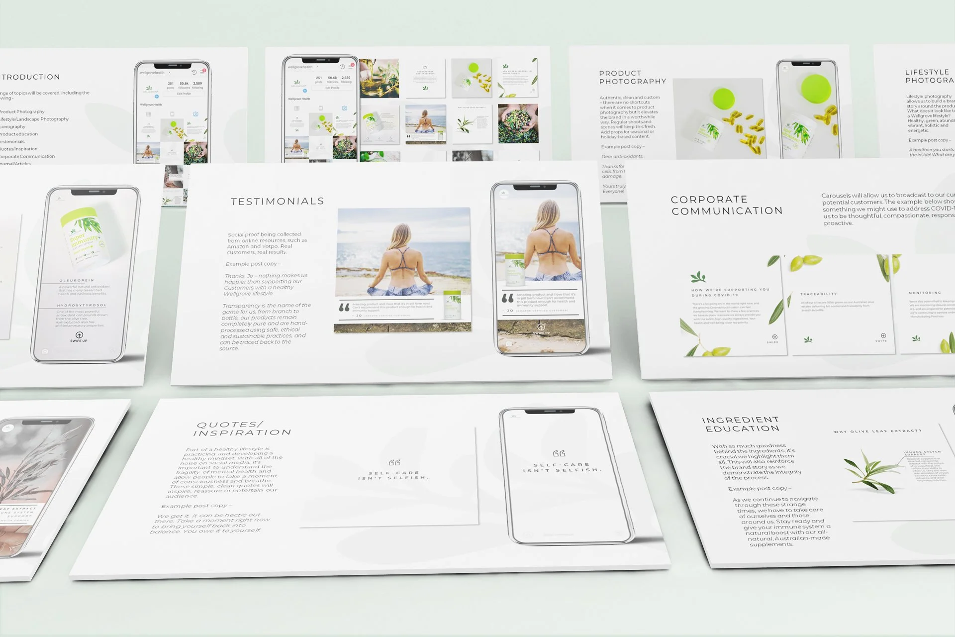 wellgrove-presentation-mockup.jpg