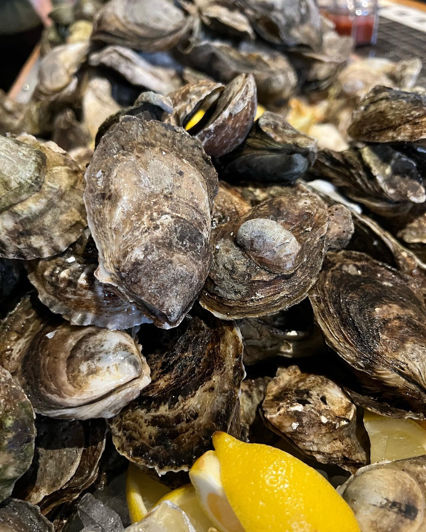 2 dollar oysters, no corkage fee and 7 dollar select cocktails. Shucking 5-8:30. See you tonight!

#roc #rocfoodies