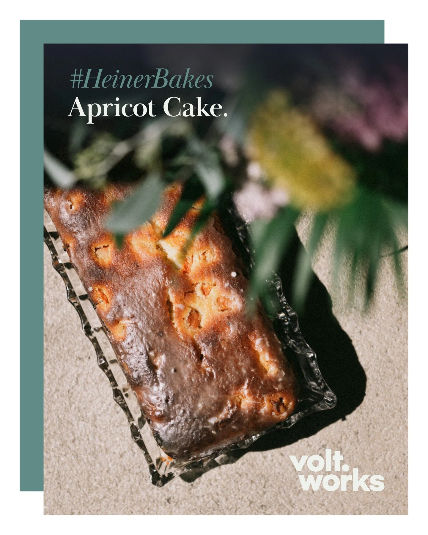 Every coworking space has its perks.

Fast Wi-Fi. Great meeting rooms. Inspiring people.

And, if you're lucky... Heiner arrives with a freshly baked apricot cake.

We're very lucky.

#HeinerBakes #coworkingm&uuml;nster #voltworks