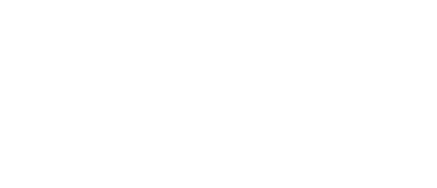 Elizabeth Street Aesthetics