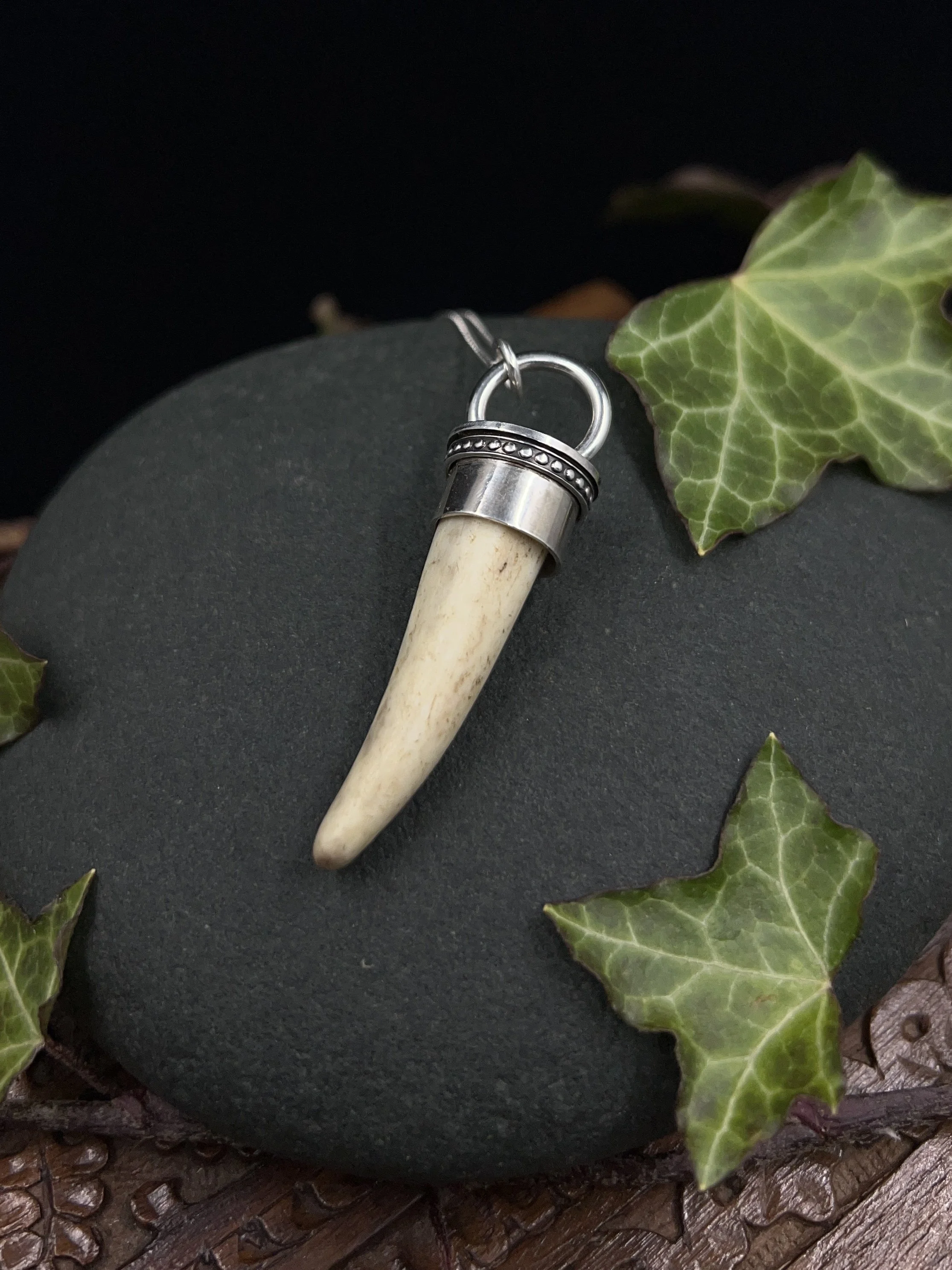 Natural white antler tine set in silver with a beaded milgrain style band. Pendant is in the style of a tooth or even claw