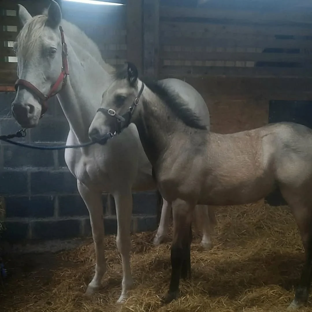 First day being tied up. Clever boy 😍