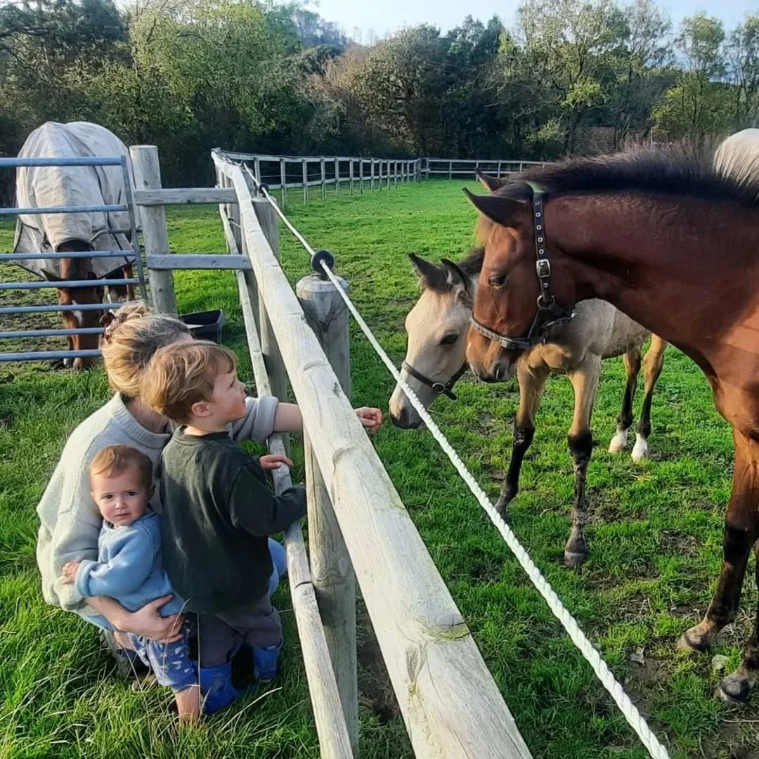 Sweet moment 

#babyhorses #foalsofinstagram #colts #baroquehorse #lusoforsale