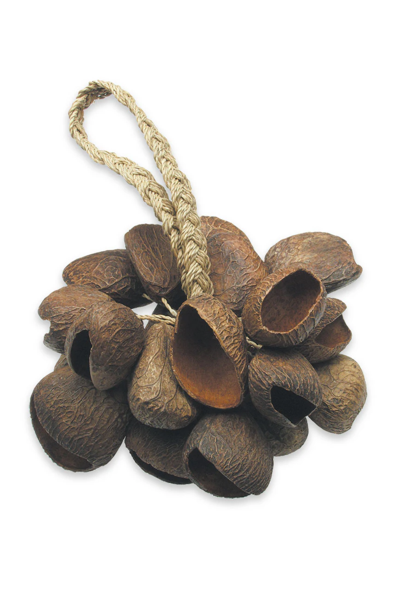 Toca T-SS Seed Shell Shaker