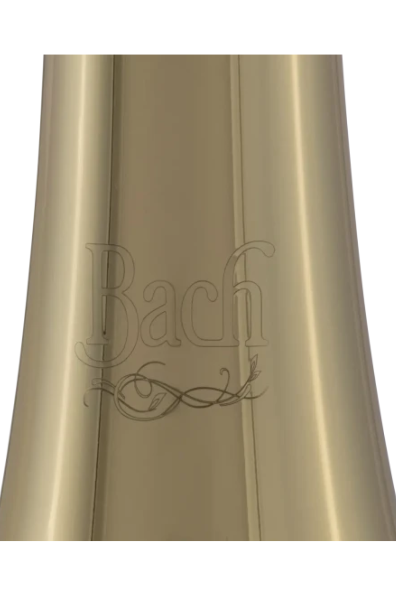 BACH-BTB202.3.png