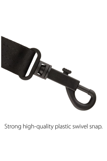 PT-N305P.7.png (Copy) (Copy)
