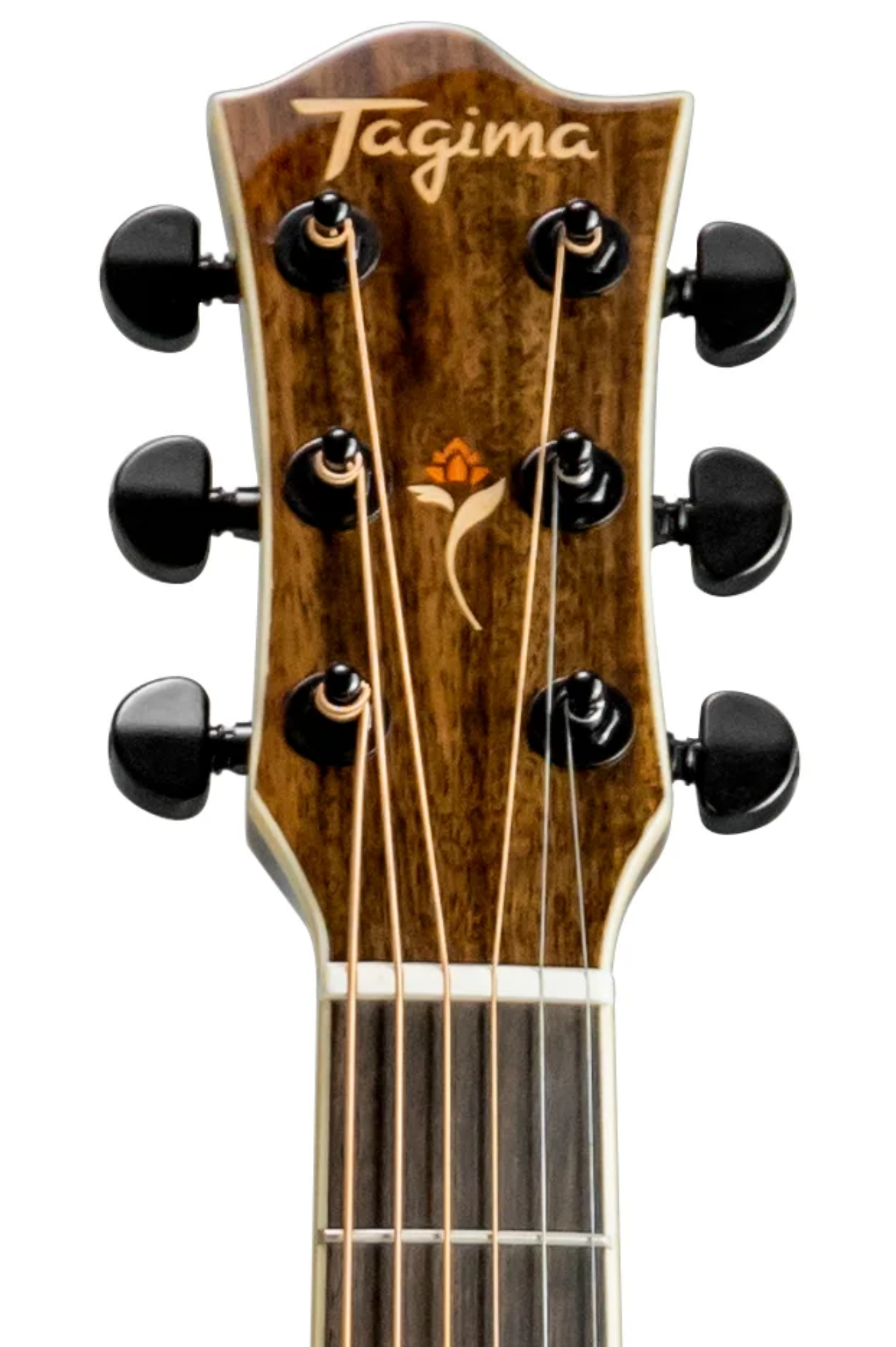 TAG-FS200BKEQ.7.png (Copy) (Copy) (Copy)