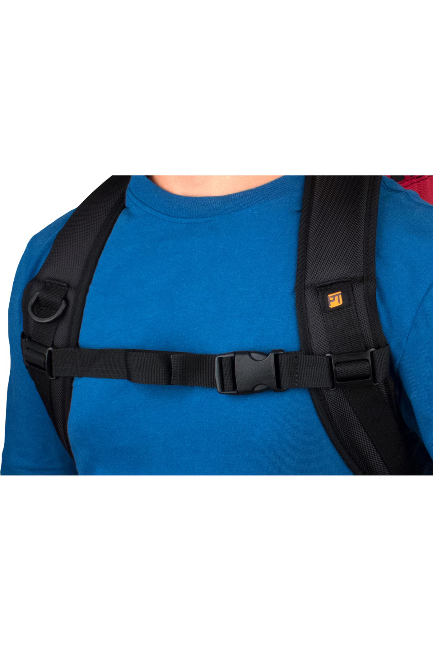 PT-BPSTRAP.10.png