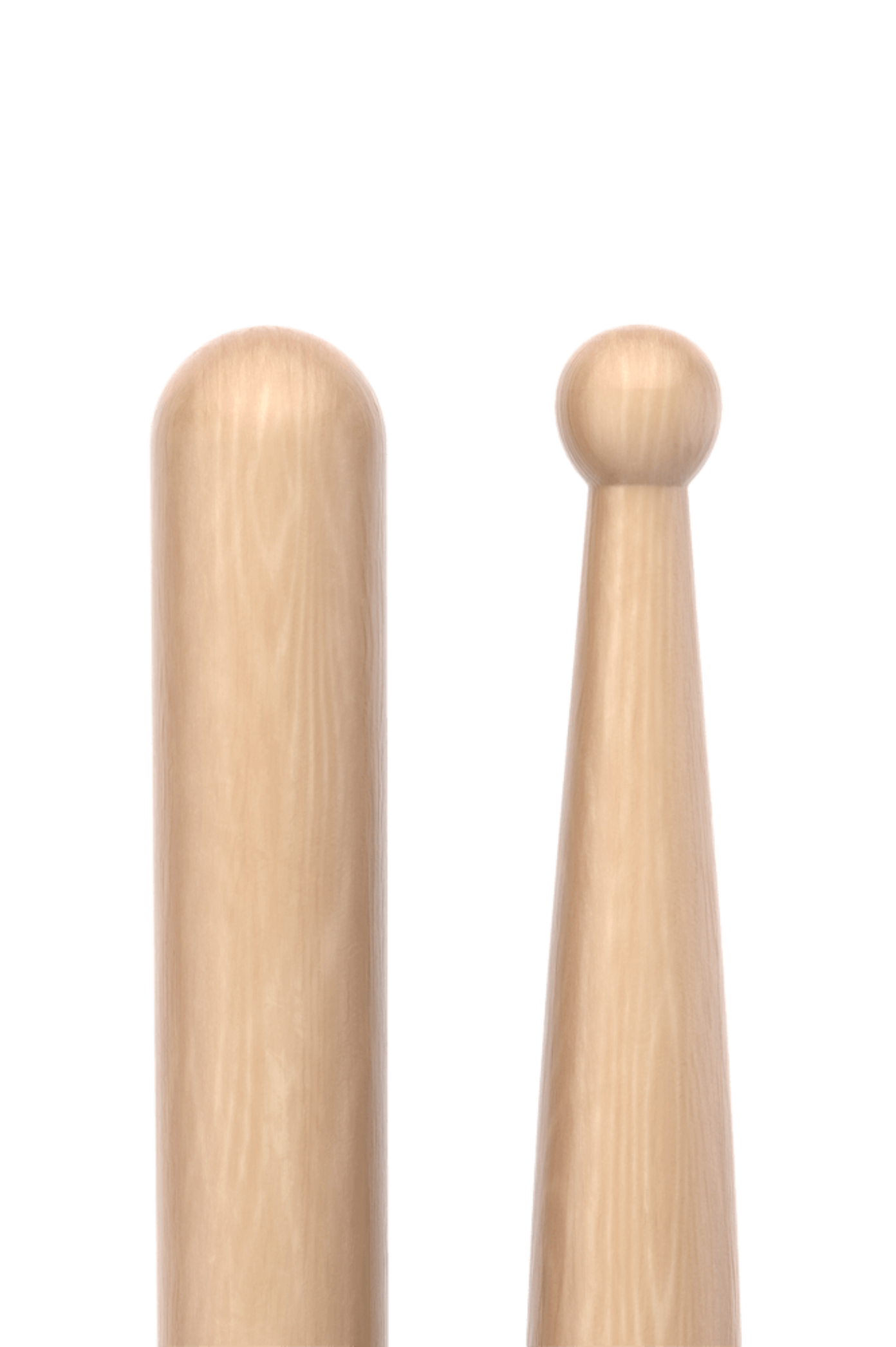 PM-SD1W.5.png