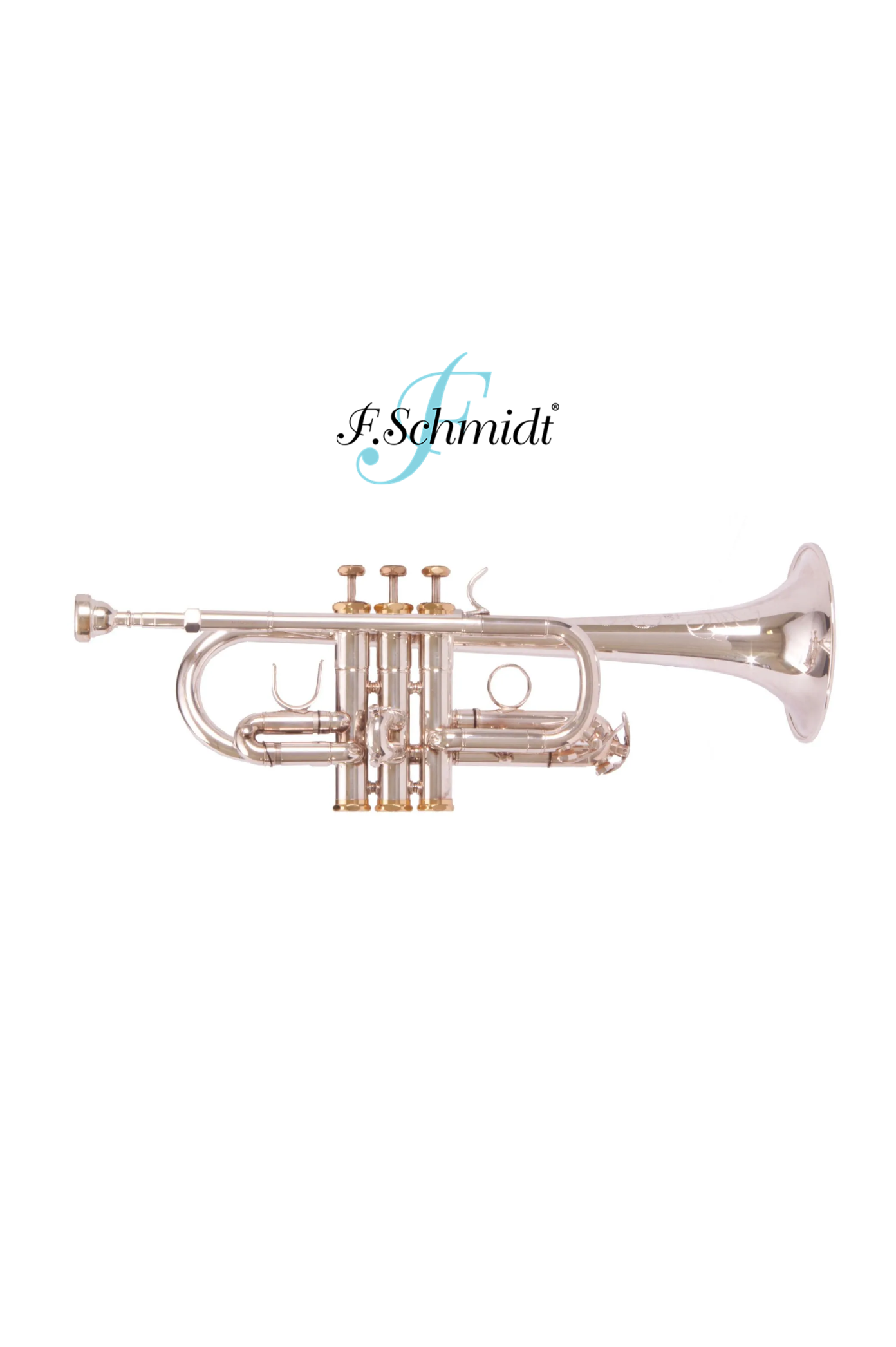 UMD-FSCH-E180S.2.png