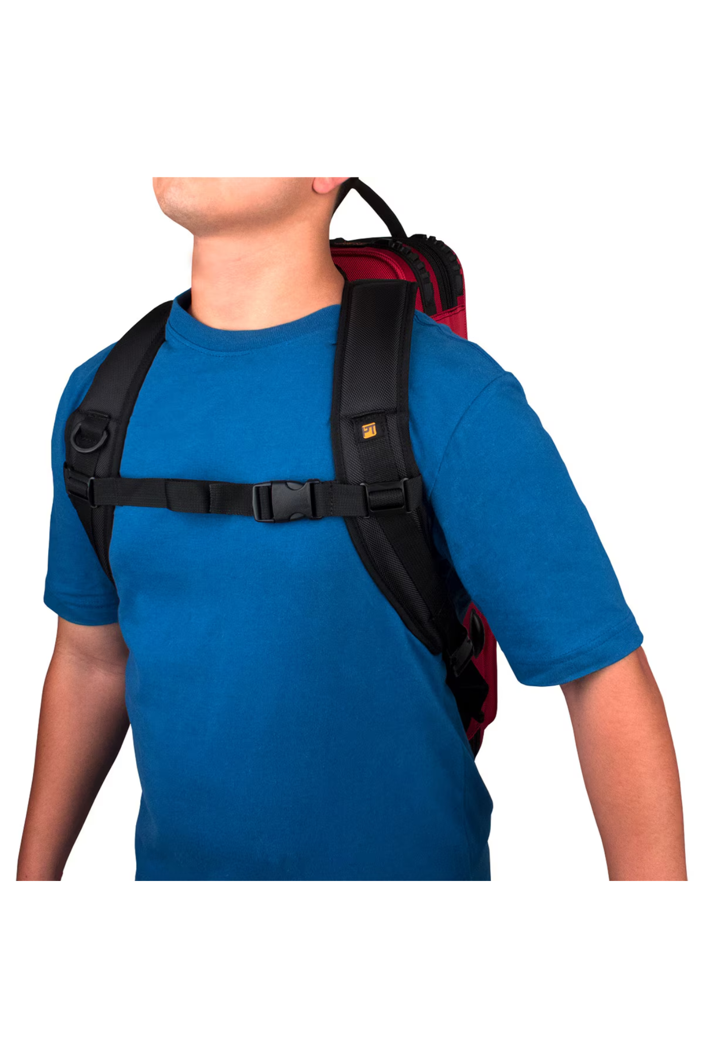 PT-BPSTRAP.3.png