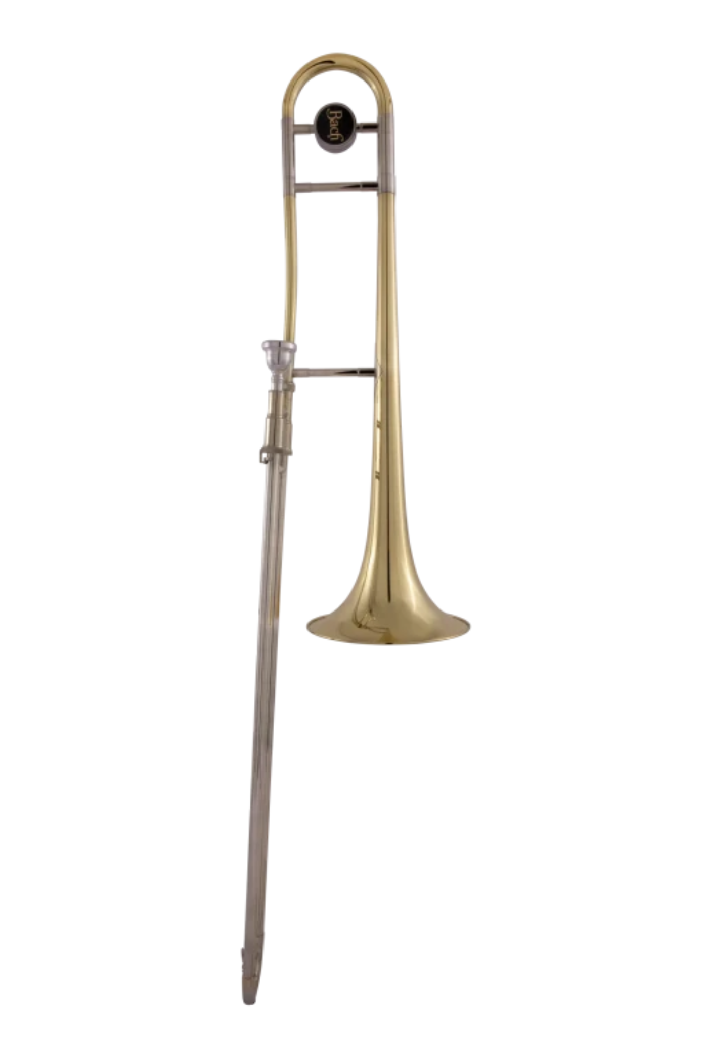 BACH-BTB202.1.png