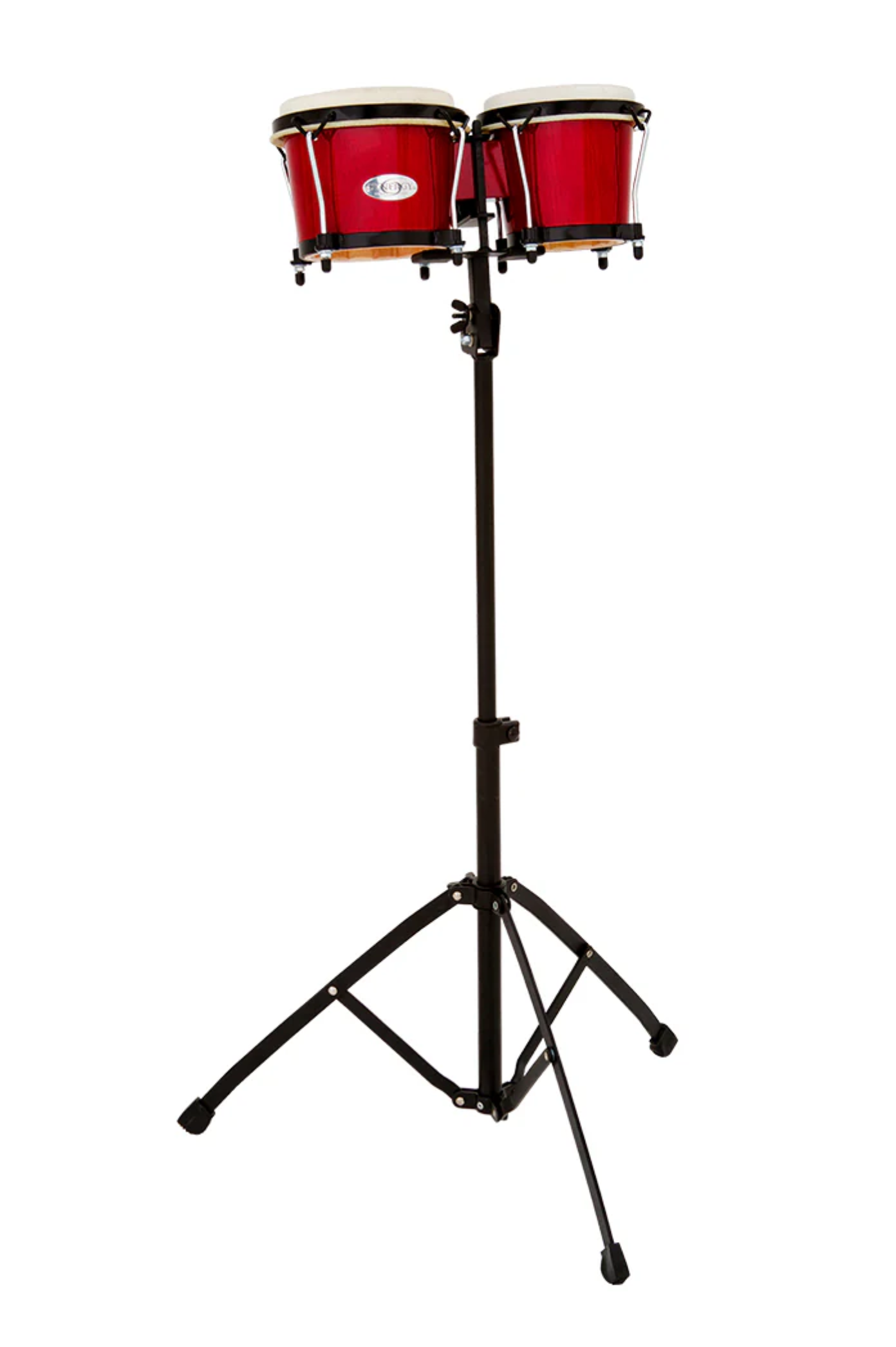 TOCA-TSBS.1.png