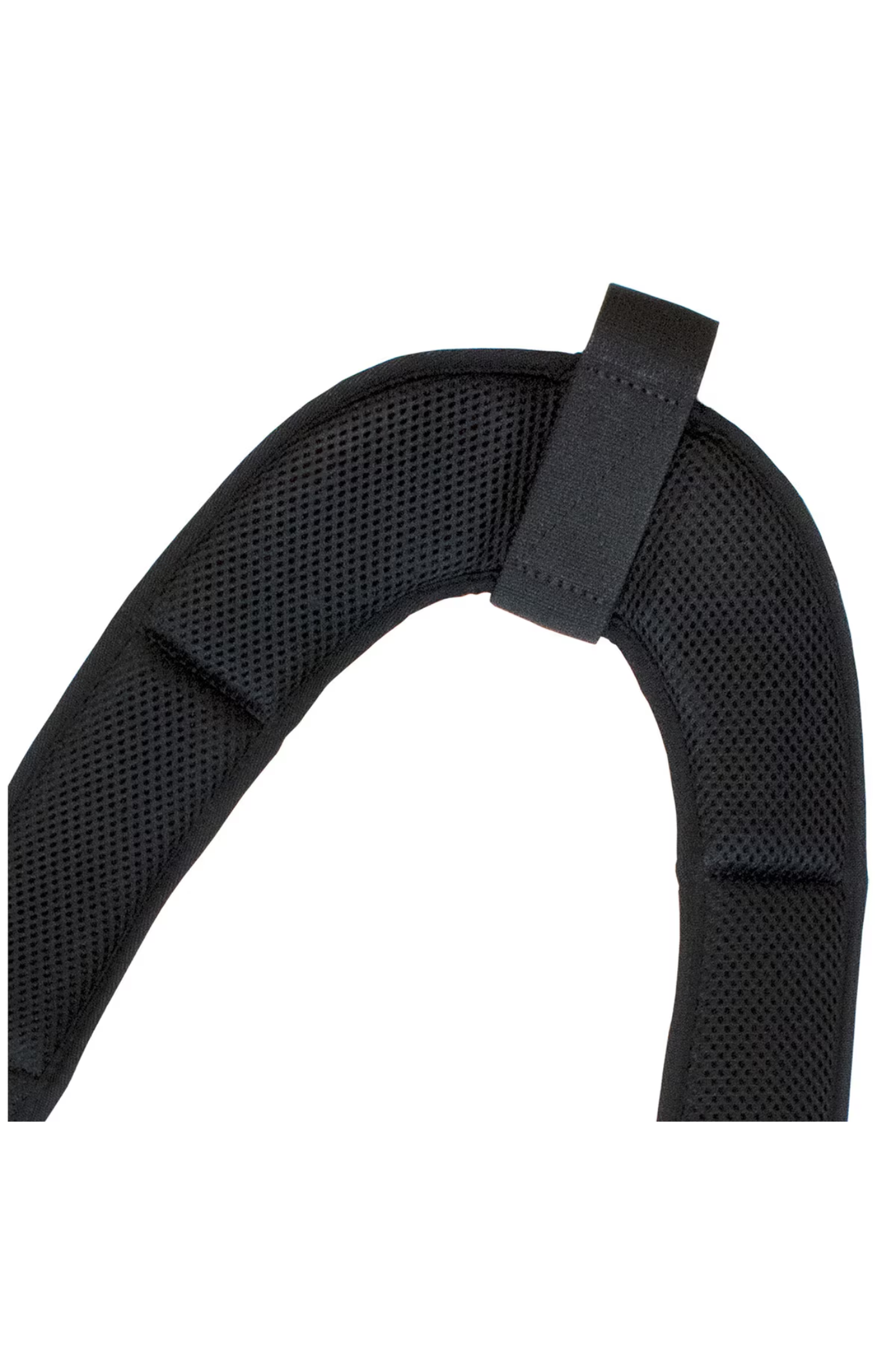 PT-BPSTRAP.5.png