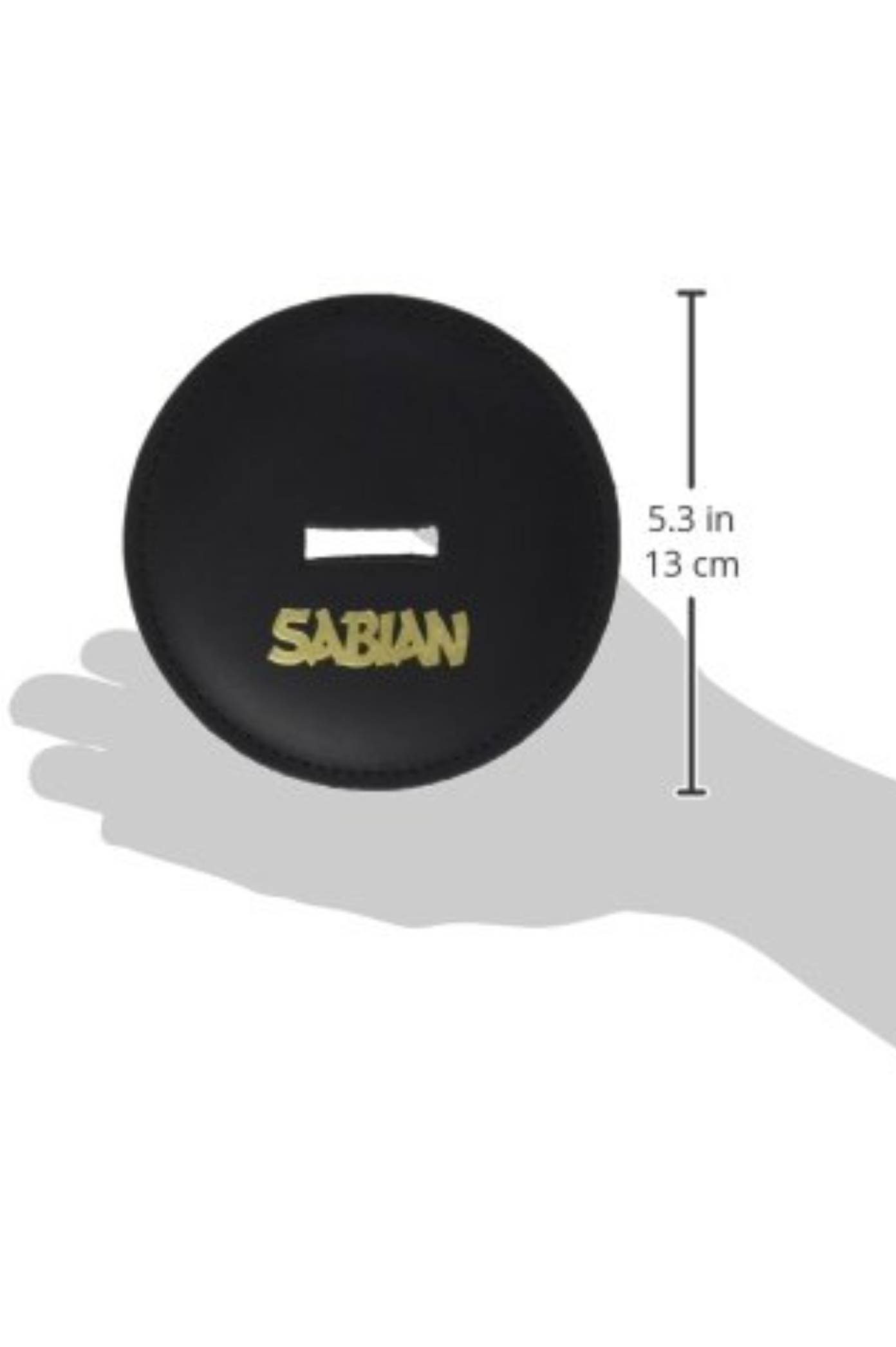 SAB-61001.3.png