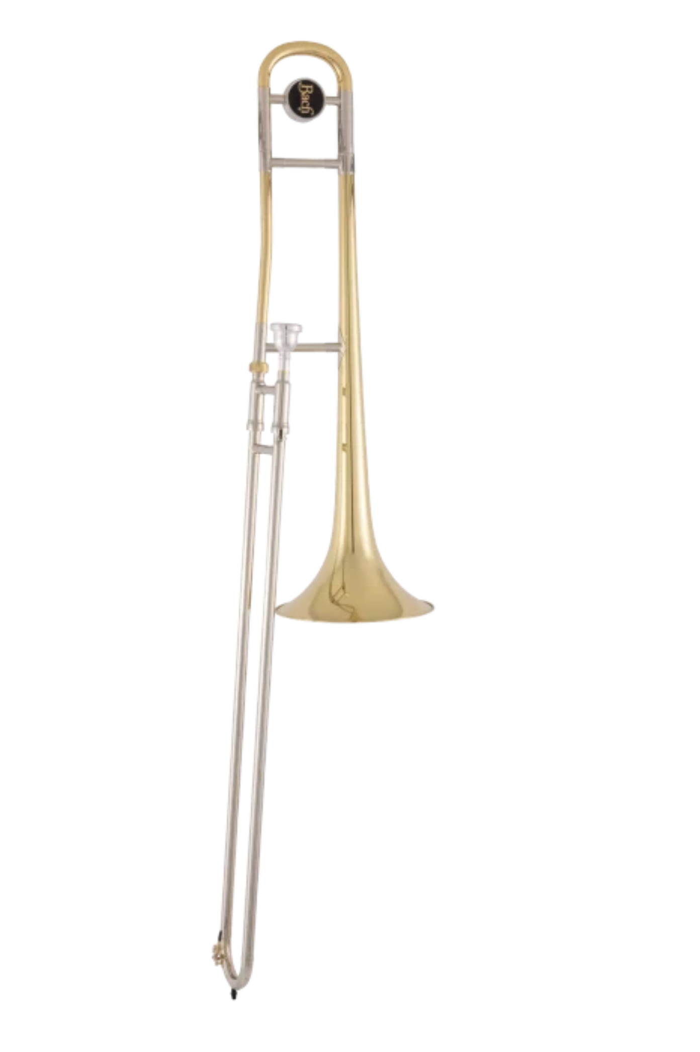 BACH-BTB302.1.png