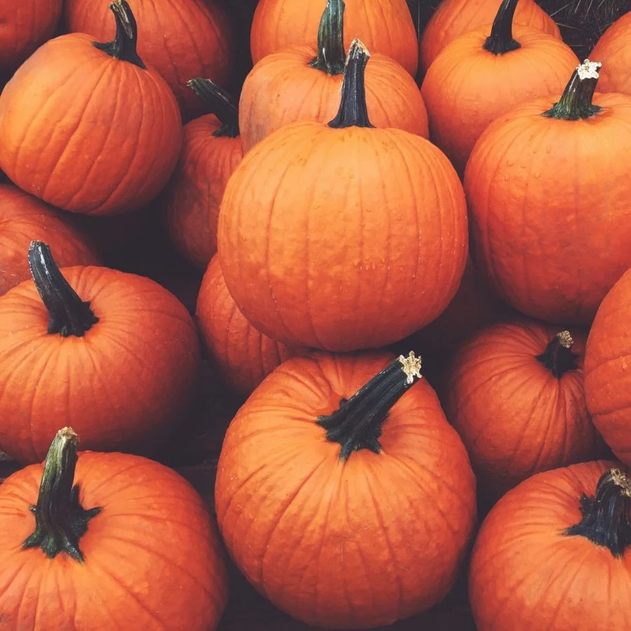 toasted pumpkin