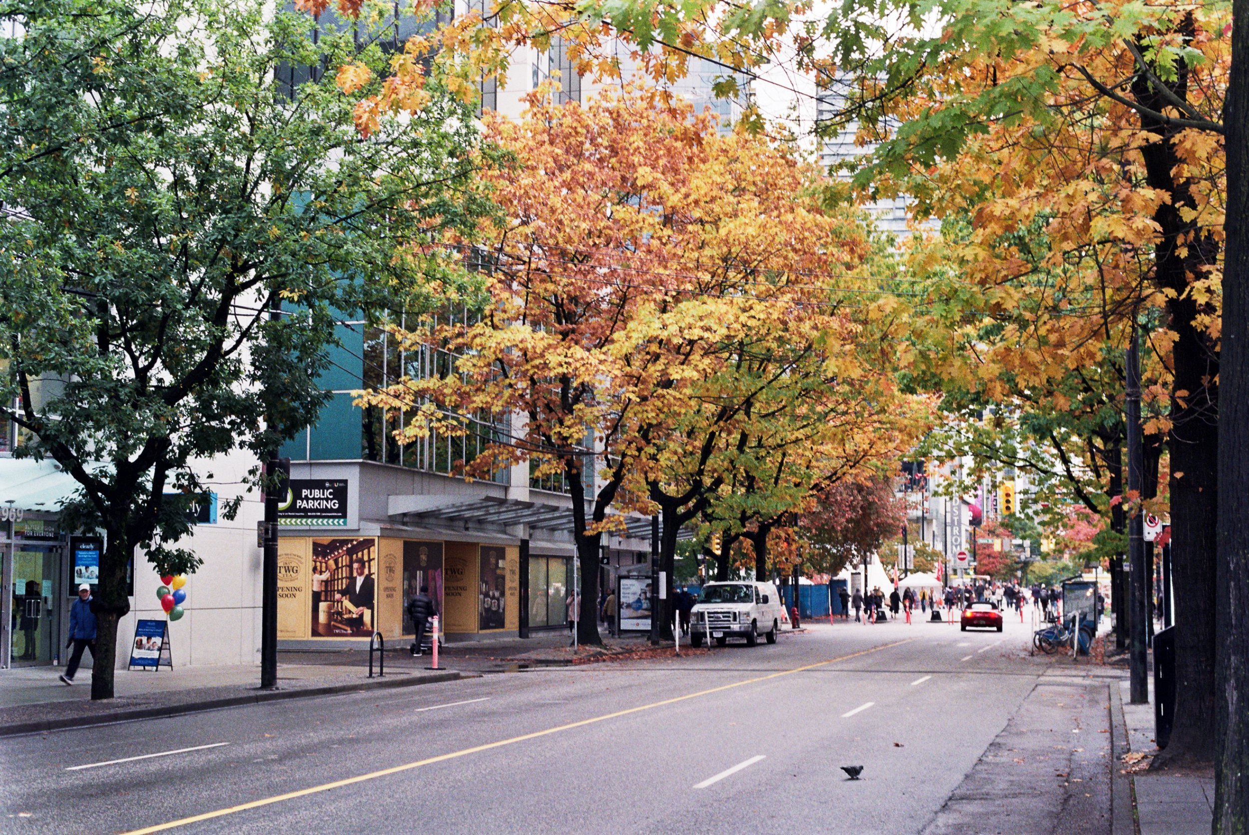 _19_0178.jpg