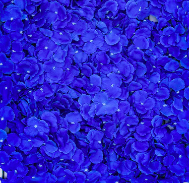 Screen Shot 2023-10-31 at 11.01.20 PM.png