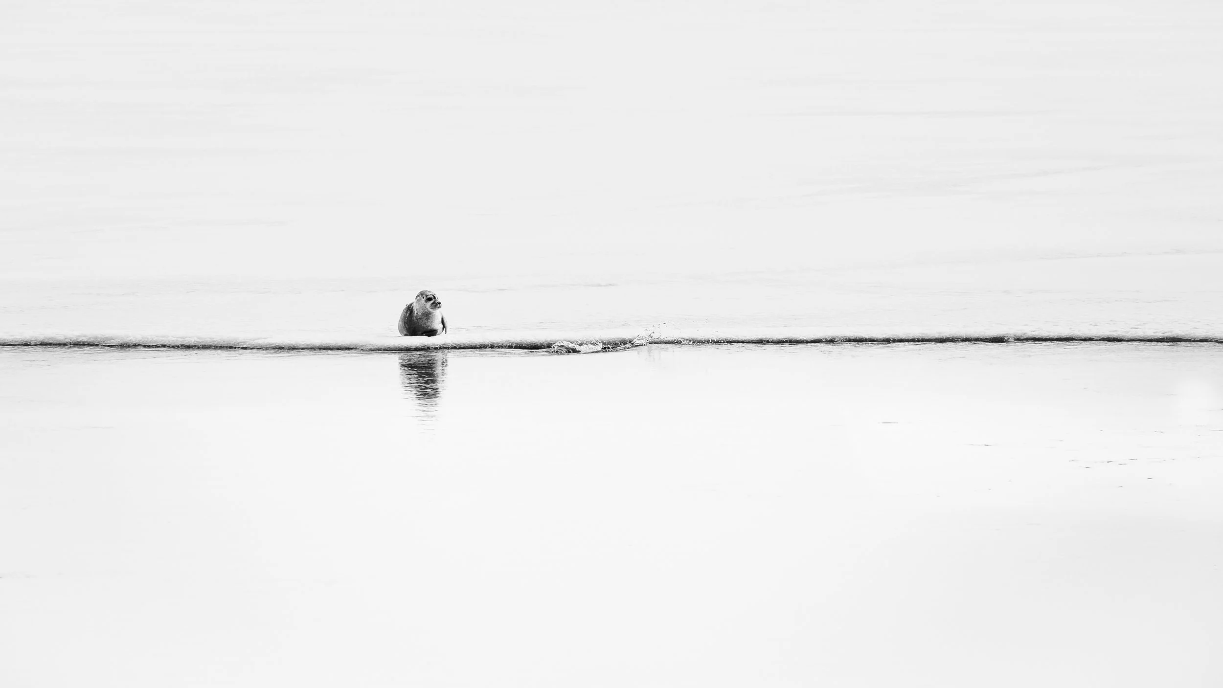 christophe-parent_Le Gardien de l'Horizon_collection-a-minima.jpg