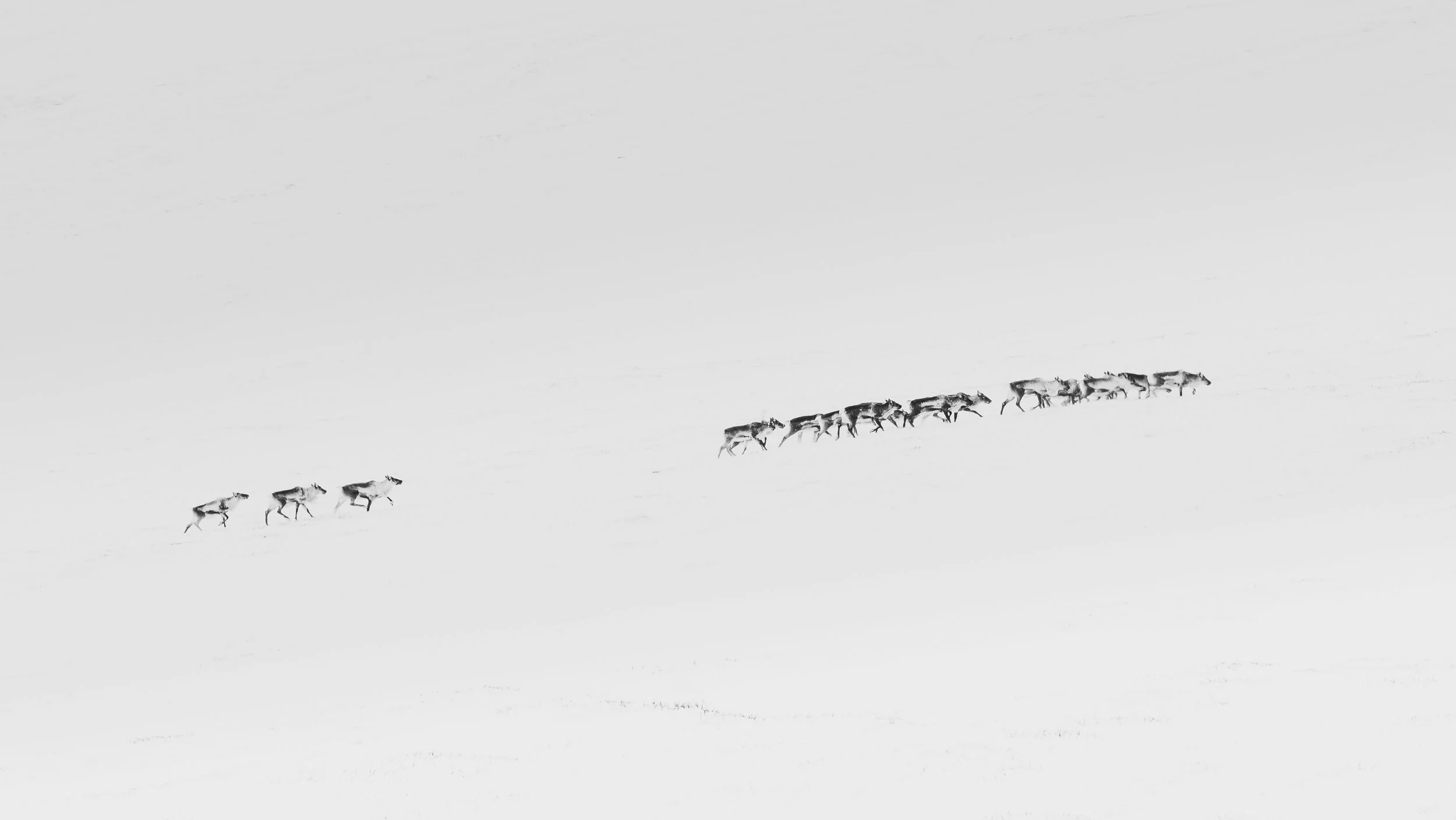 christophe-parent_La Harde Fantôme_collection-a-minima.jpg