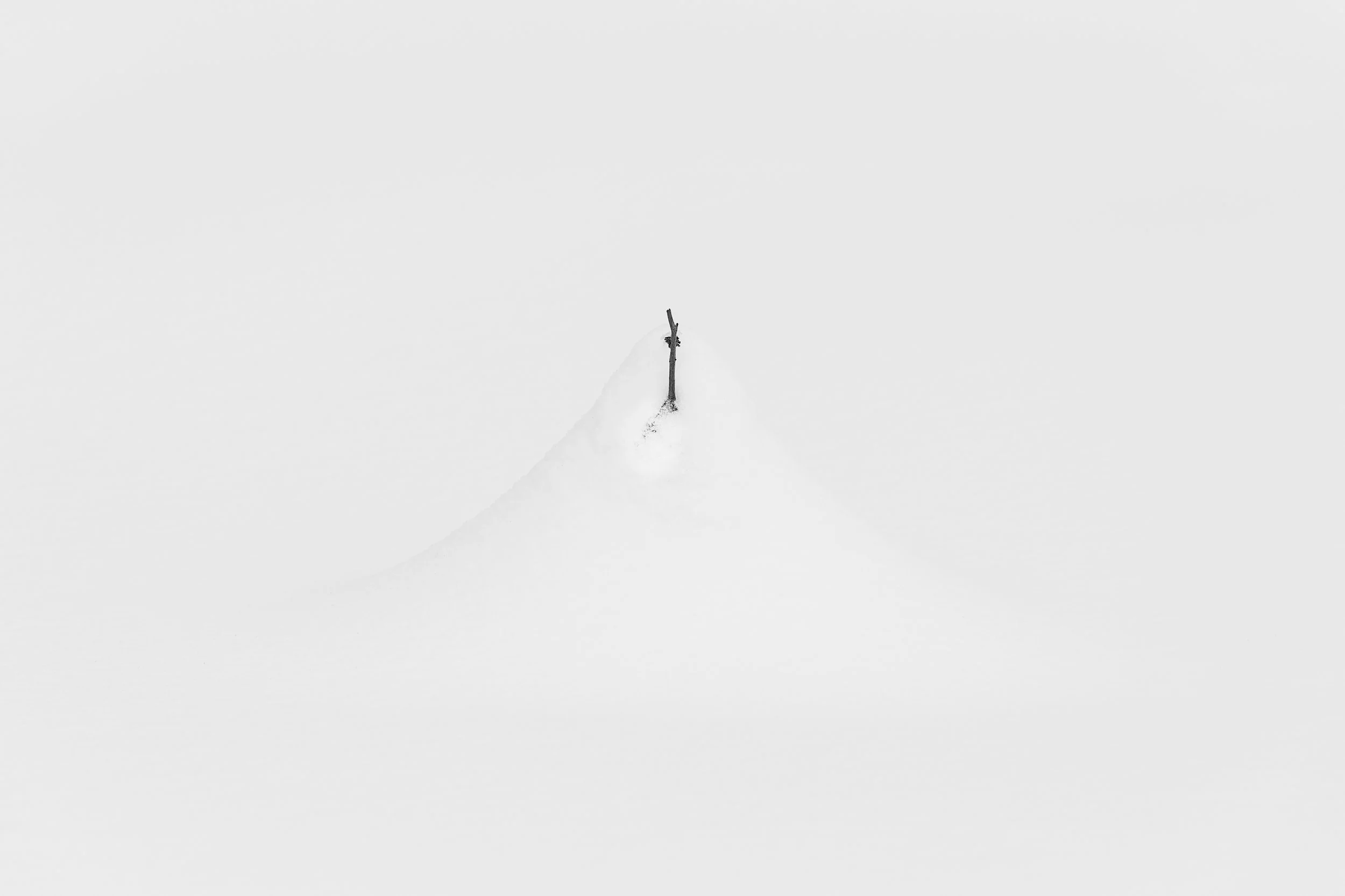 Une branche verticale fine et sombre se dressant au sommet d'un dôme de neige parfaitement lisse. Minimalisme