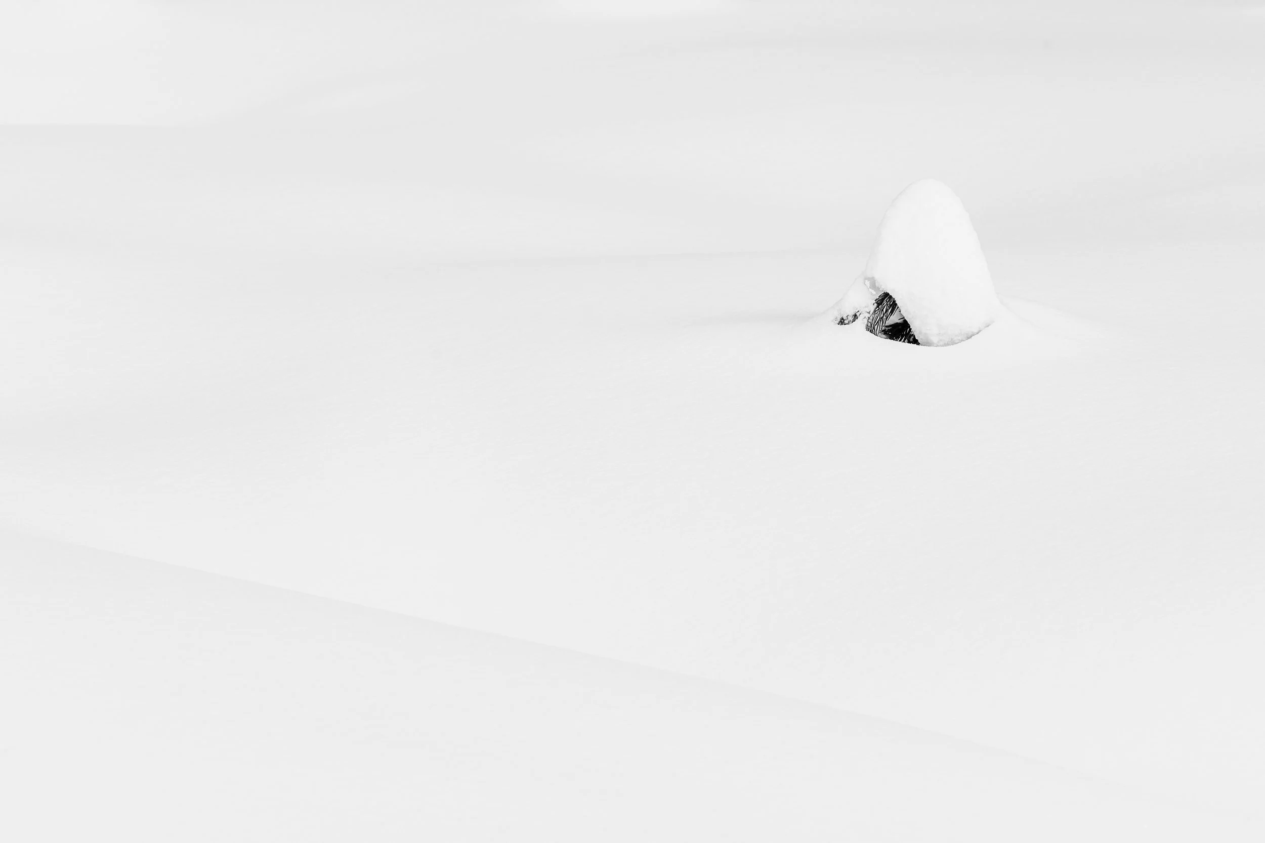 "Vaste étendue de neige blanche avec un minuscule abri ou une structure sombre isolée au loin. Minimalisme