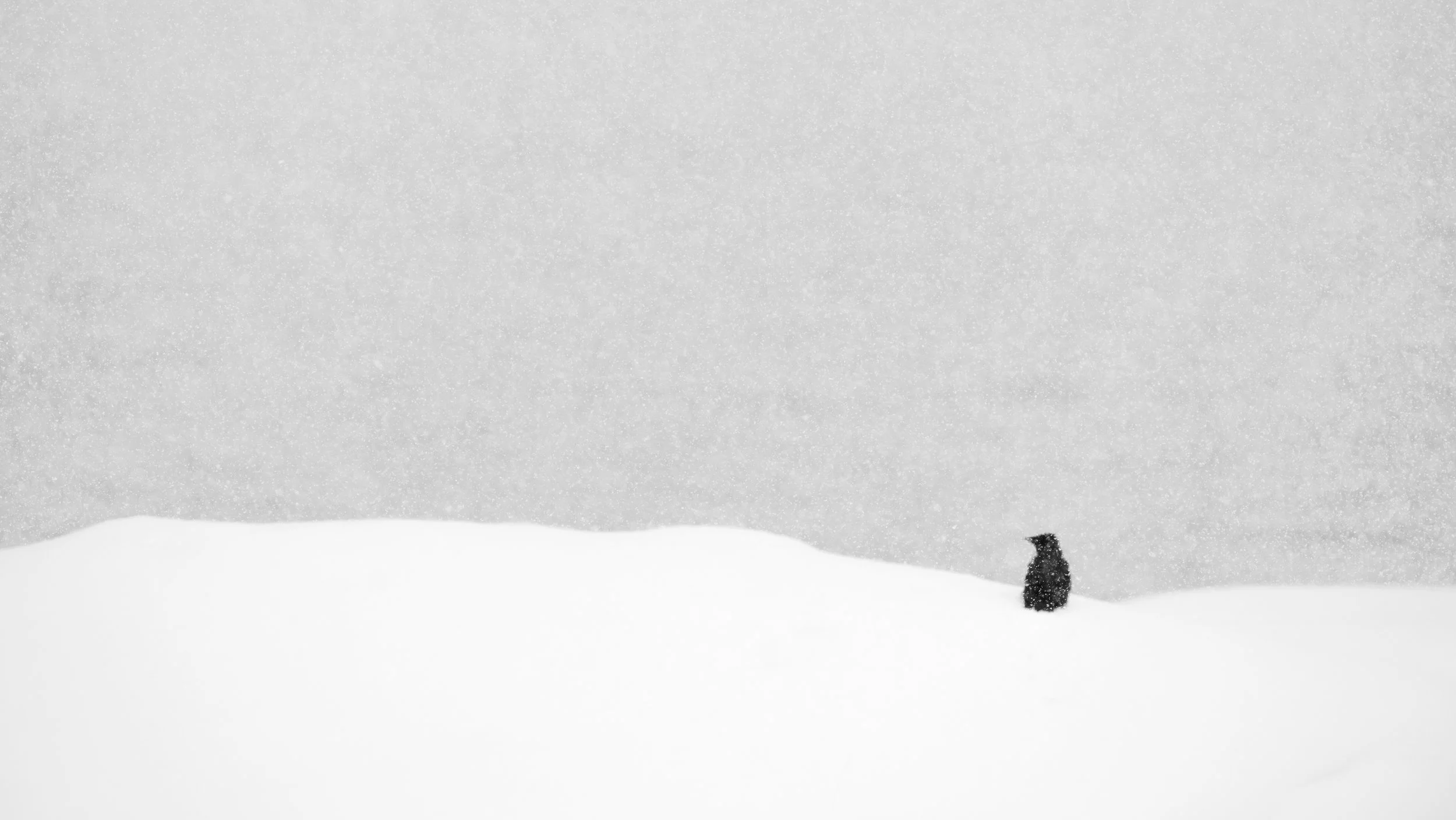 christophe-parent_La Veille_collection-a-minima.jpg