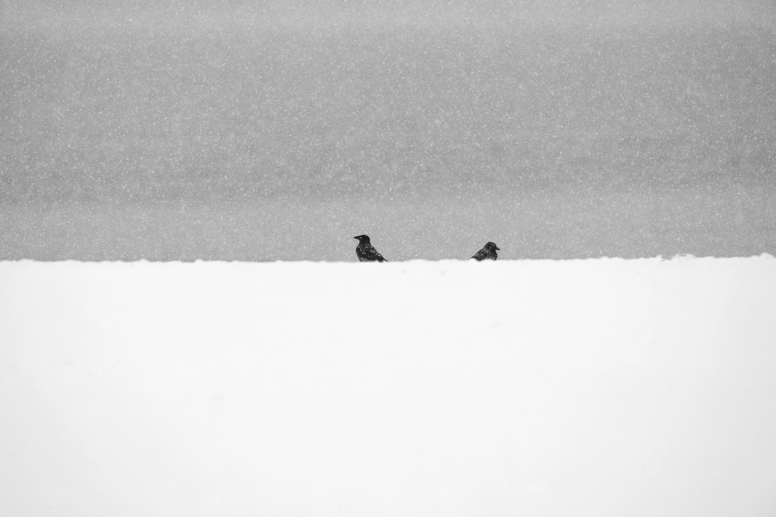 christophe-parent_Sentinelles du Rivage_collection-a-minima.jpg