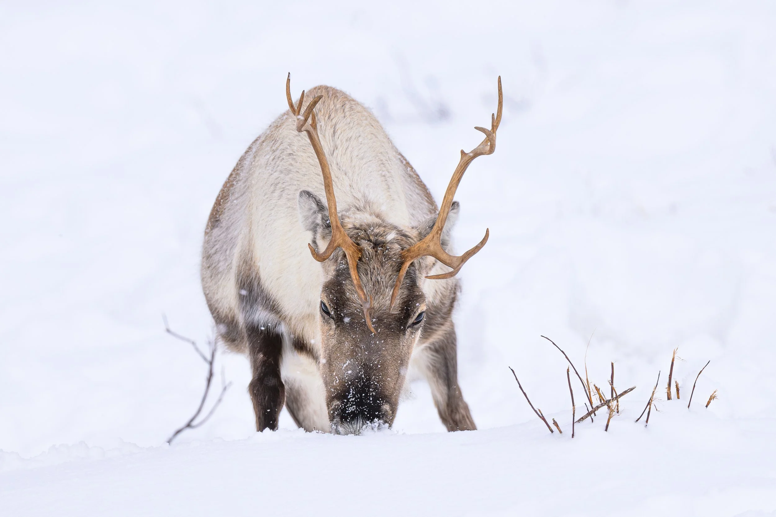 expo ATrium V1 (18 sur 20).jpg