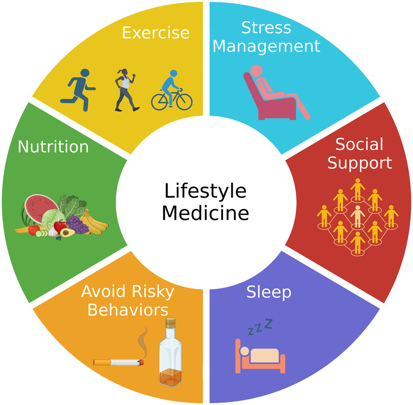 The-components-of-lifestyle-medicine-Lifestyle-medicine-focuses-on-six-pillars-of-a.png